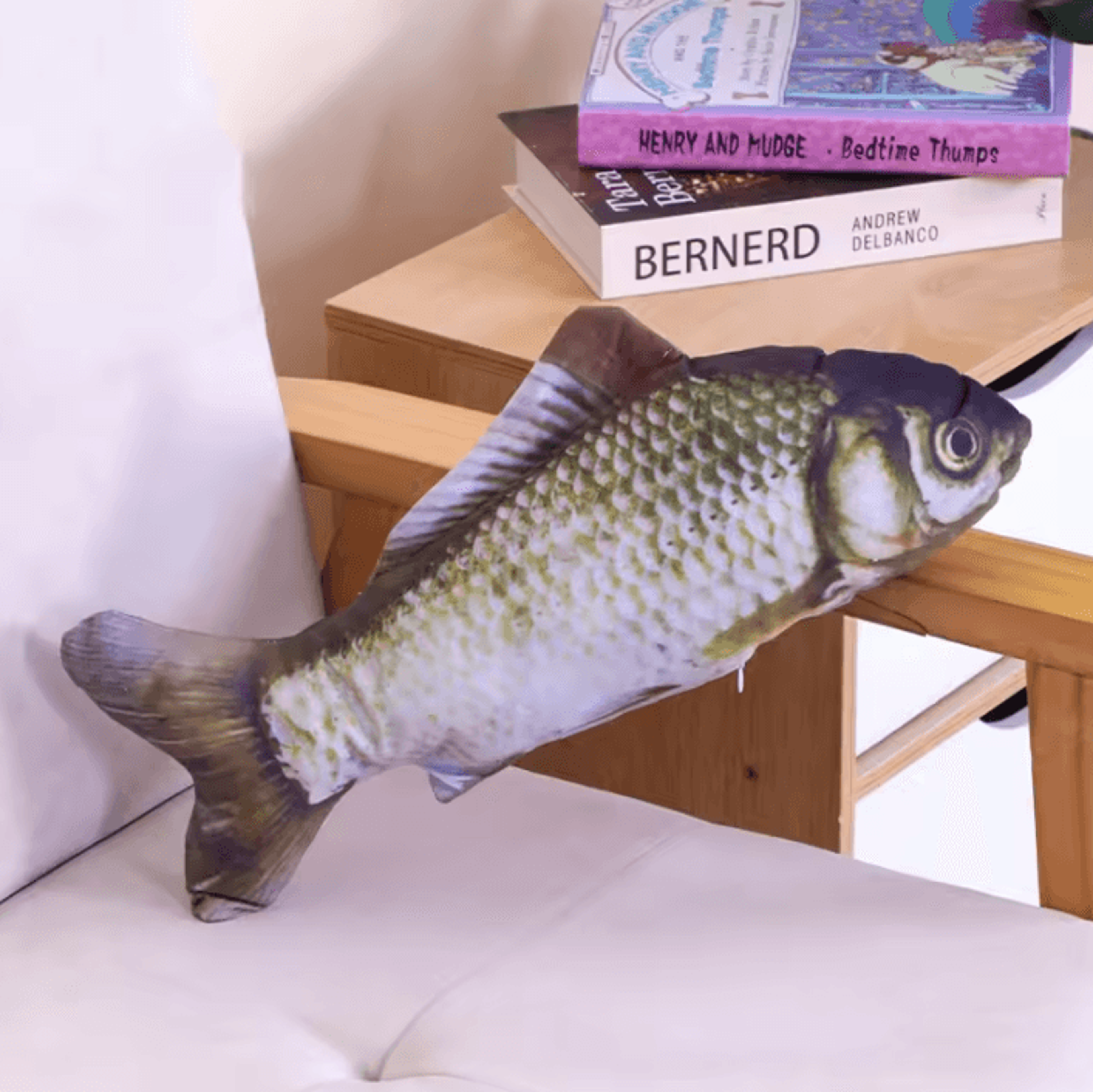 RealCatch Catnip Fish Plush Toy 5