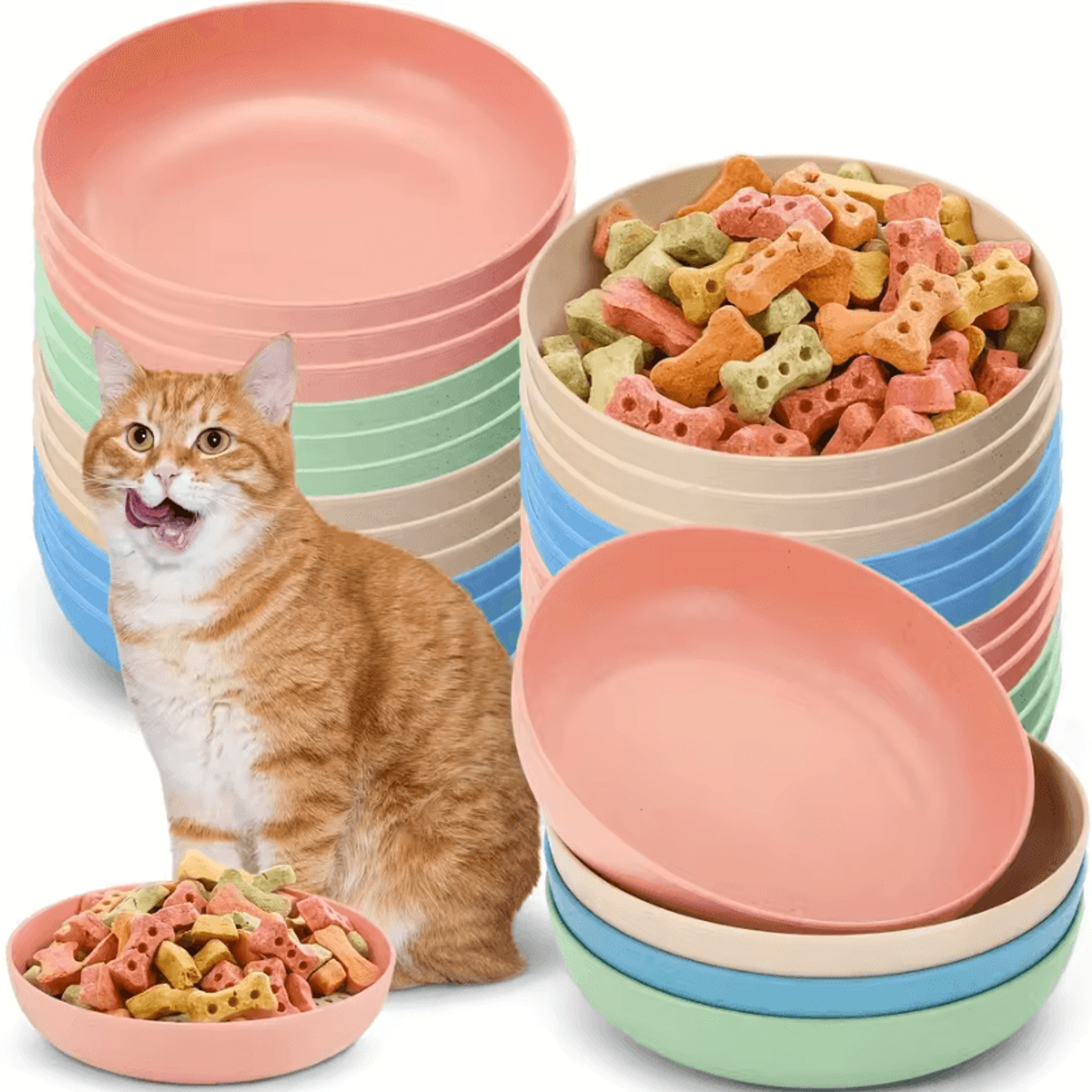 WhiskerEase Shallow Cat Bowl Set 1