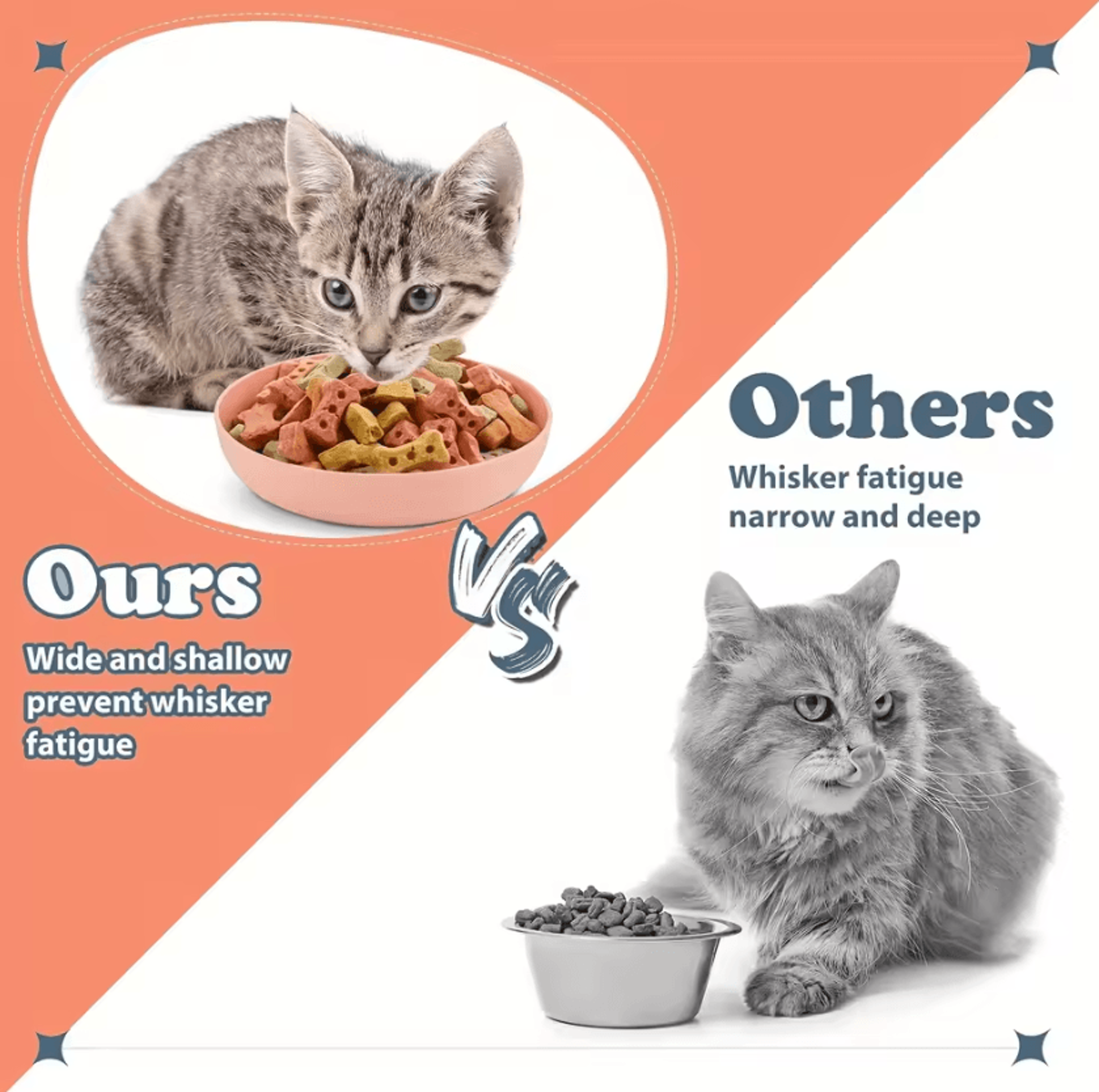 WhiskerEase Shallow Cat Bowl Set 2