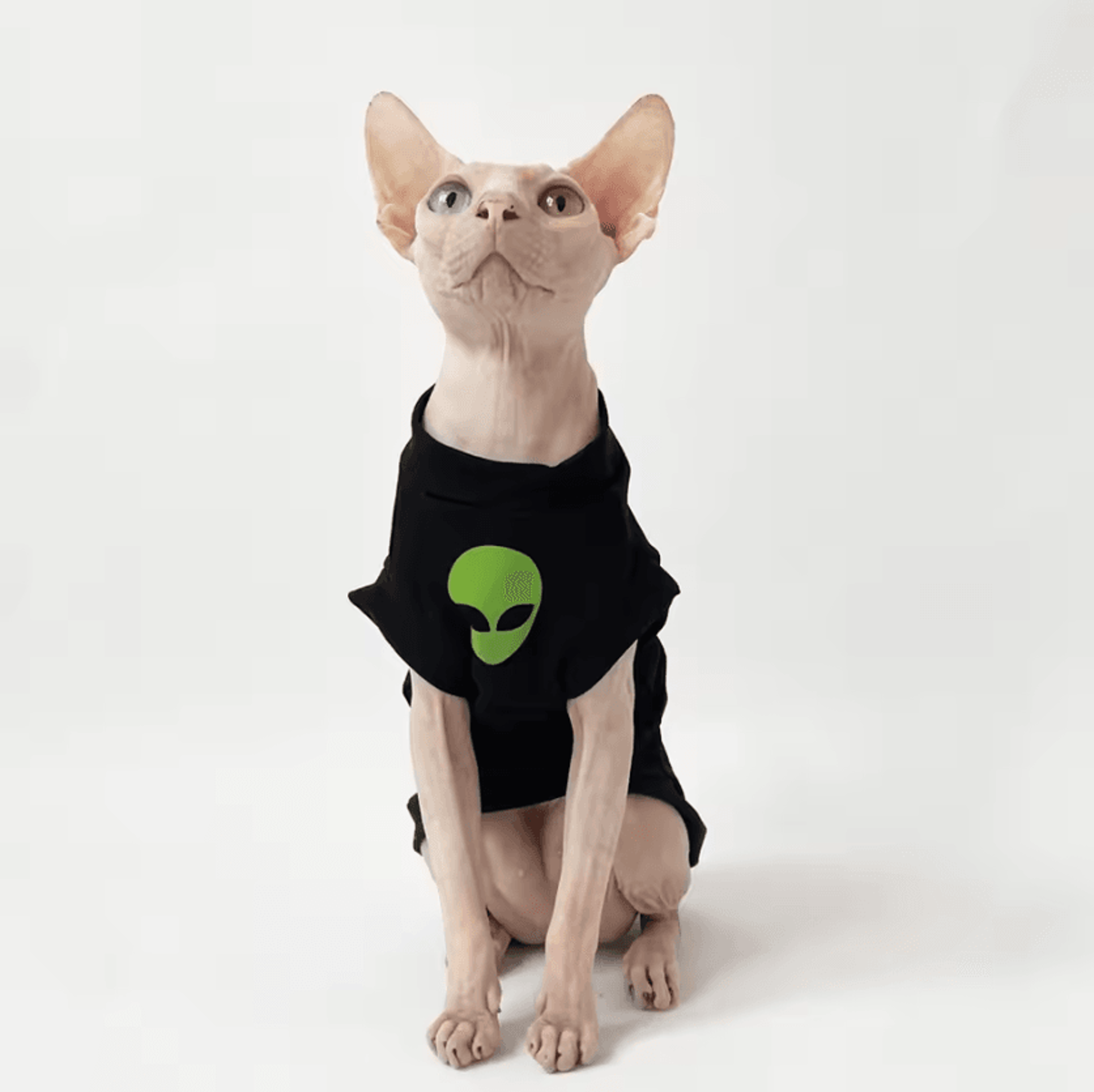 CozyStripe Sphynx Cotton Cat Shirt 0