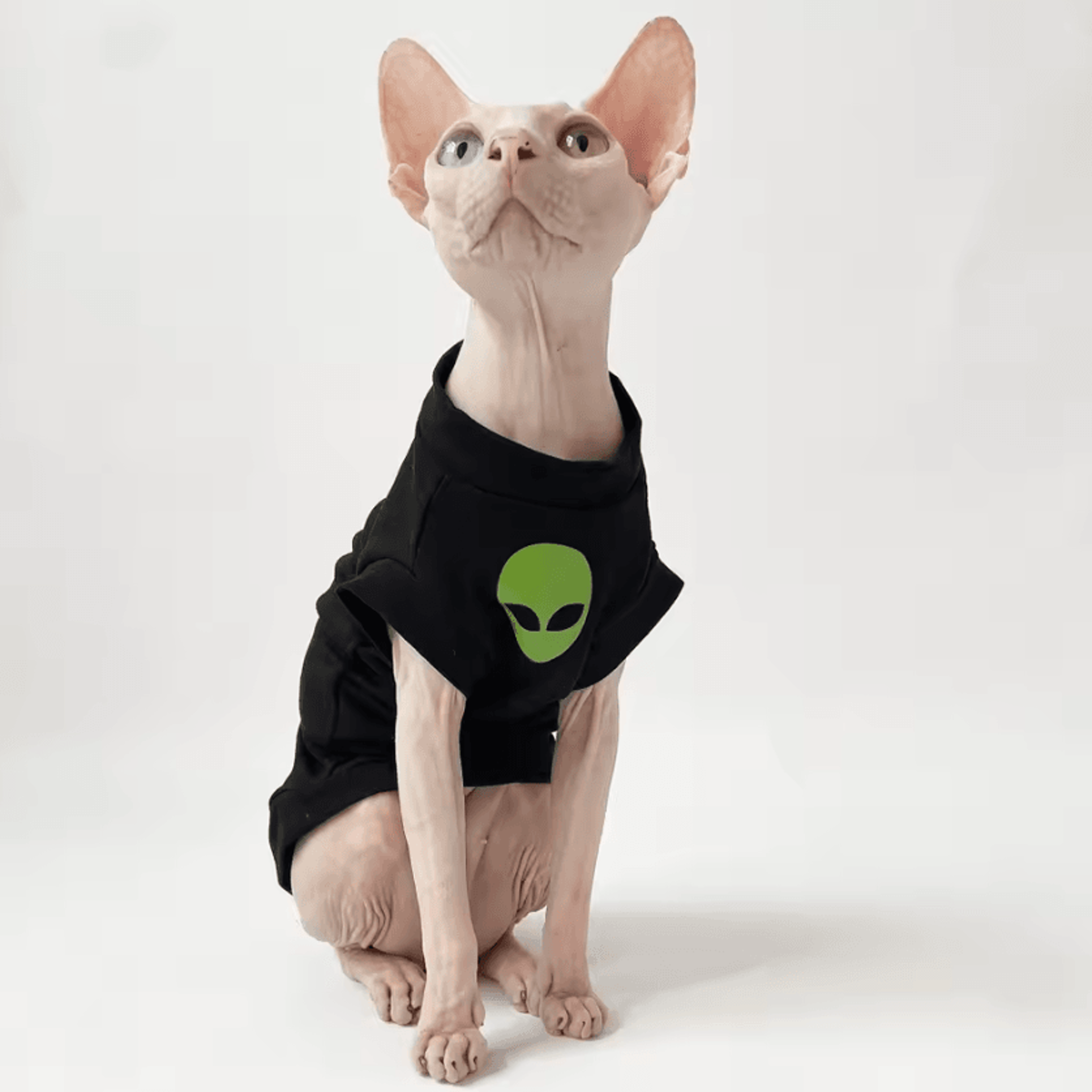 CozyStripe Sphynx Cotton Cat Shirt 2