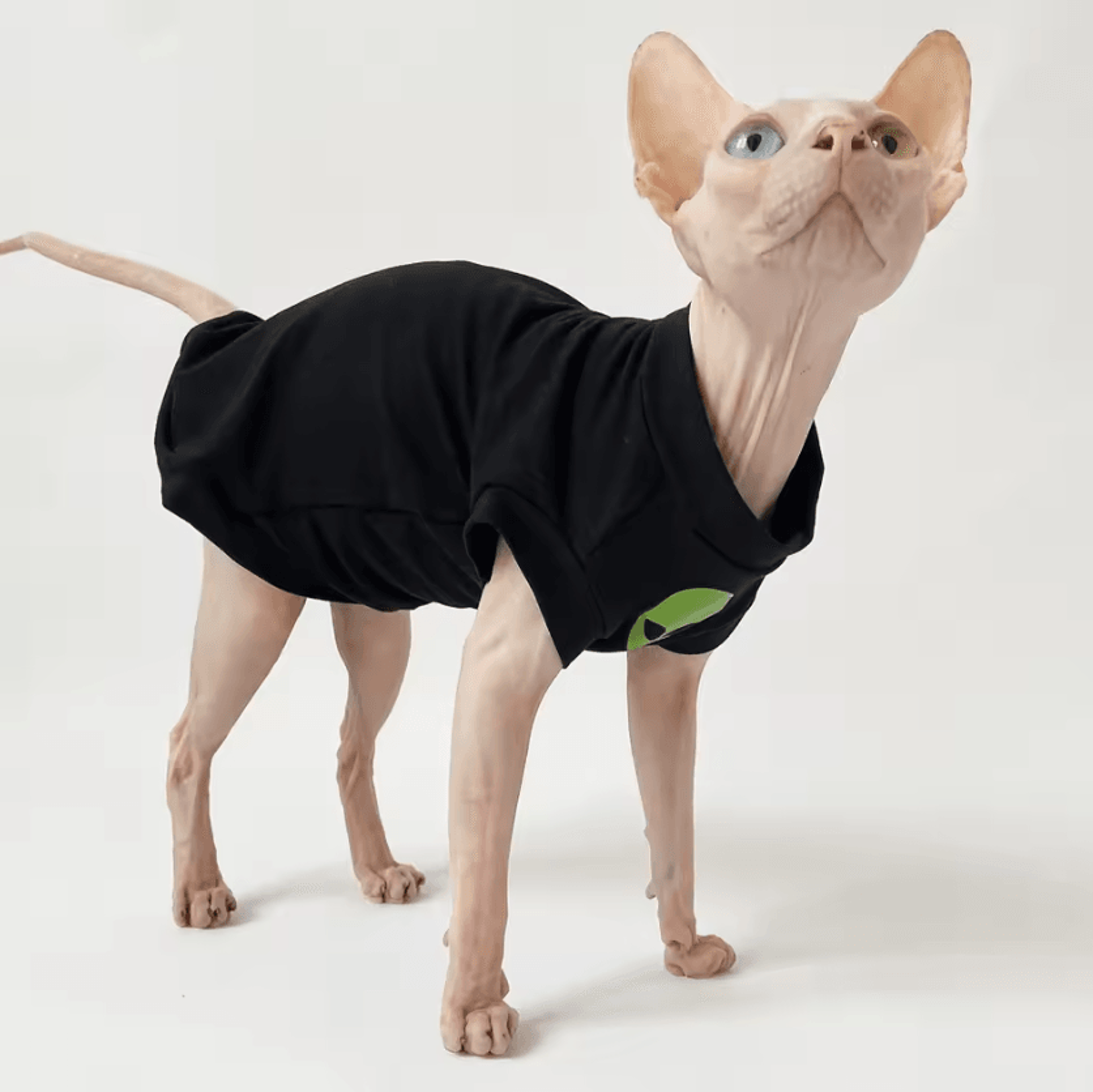 CozyStripe Sphynx Cotton Cat Shirt 4
