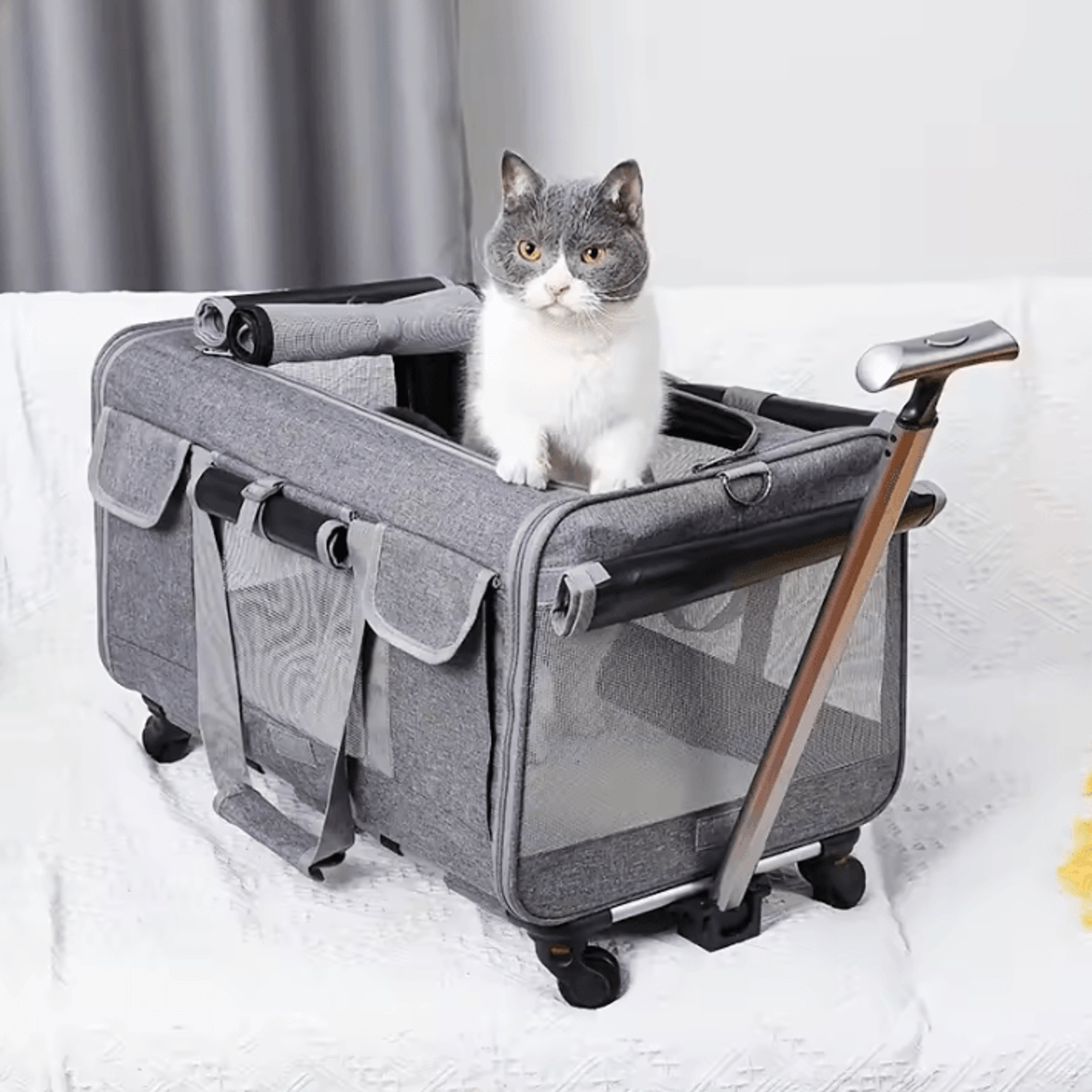 RoverRoll ExtraLarge Pet Travel Trolley Carrier 0