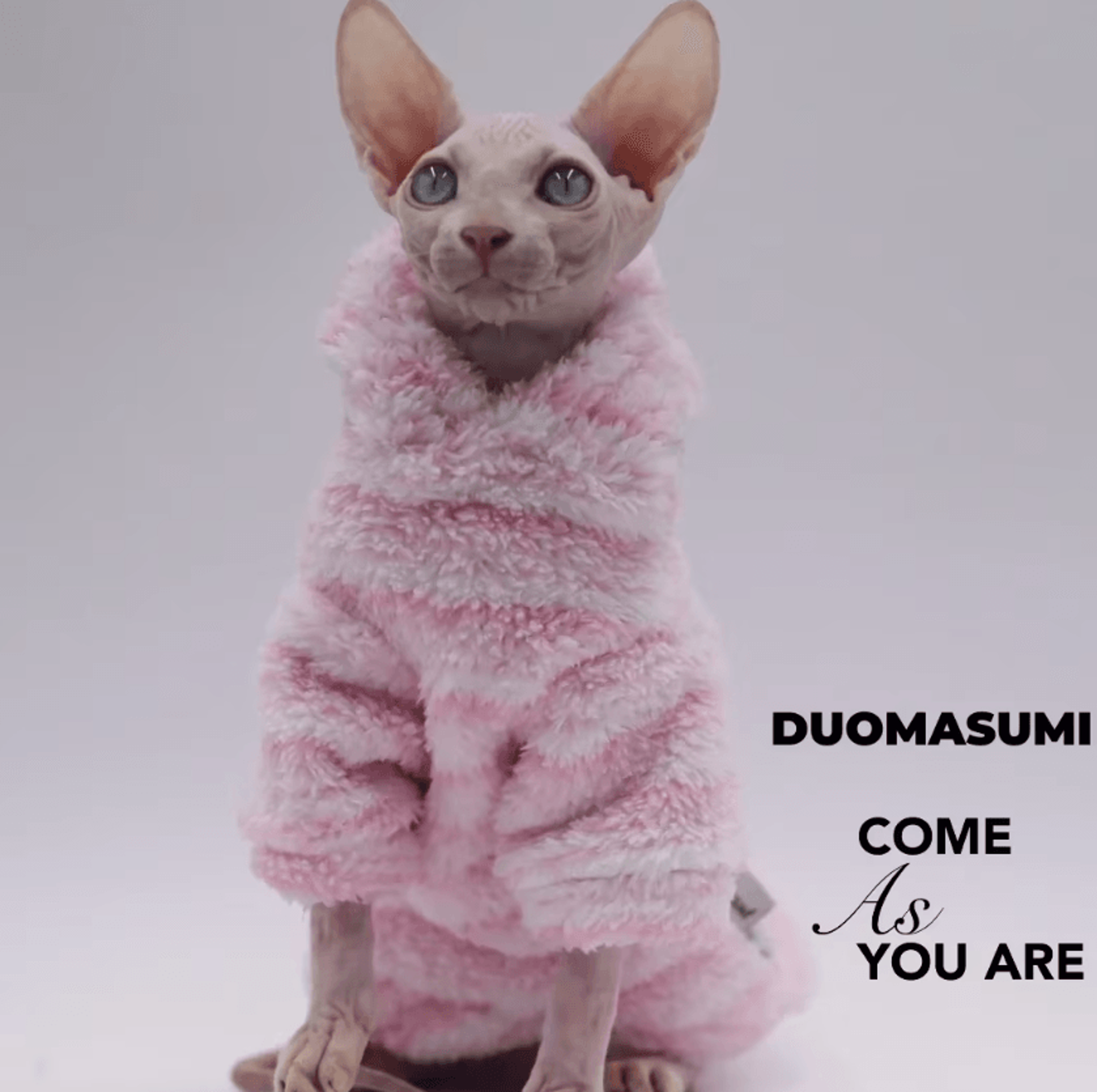 ArcticPaws DoubleSided Winter Coat For Sphynx Cats 1