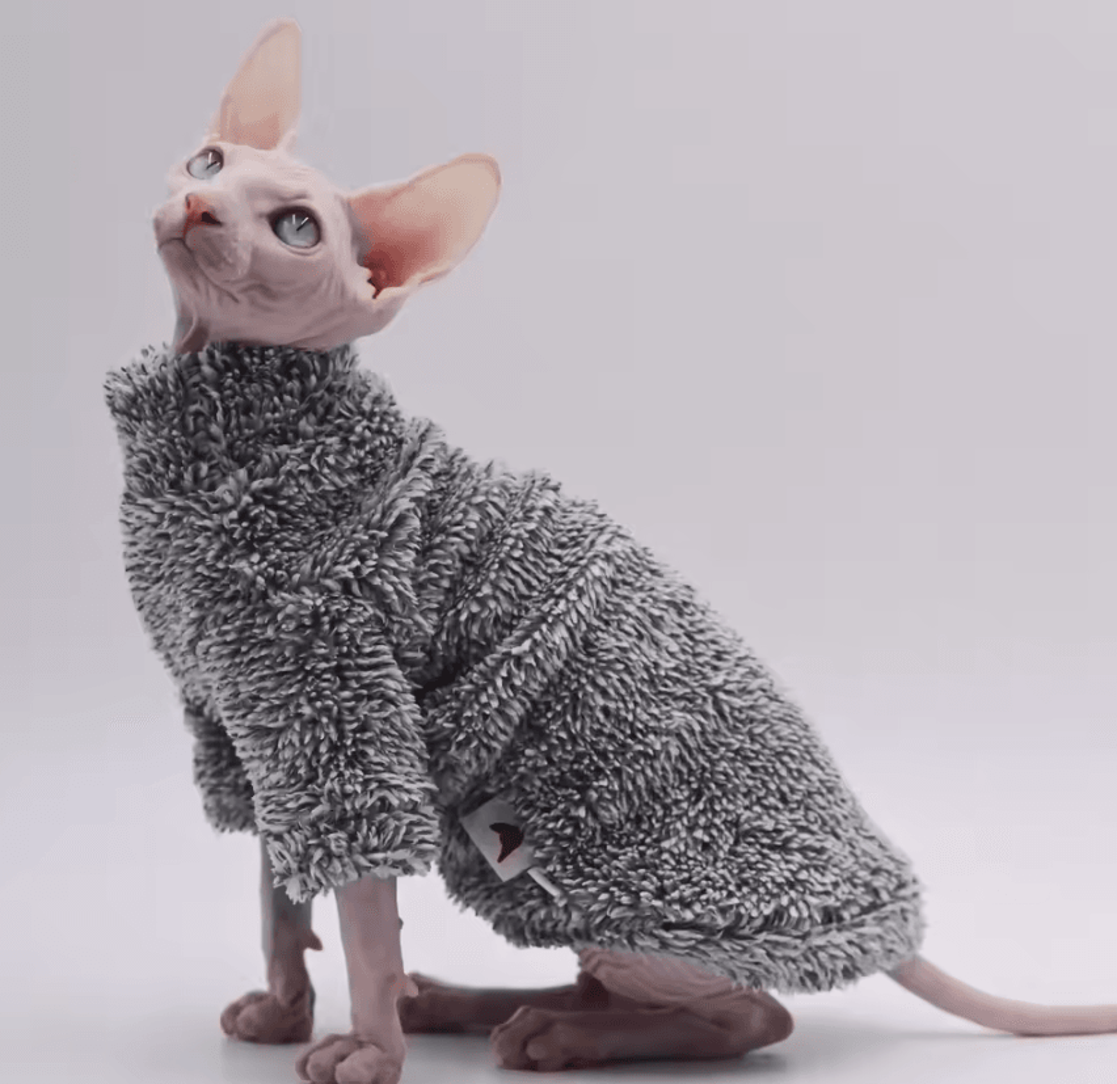 ArcticPaws DoubleSided Winter Coat For Sphynx Cats 5