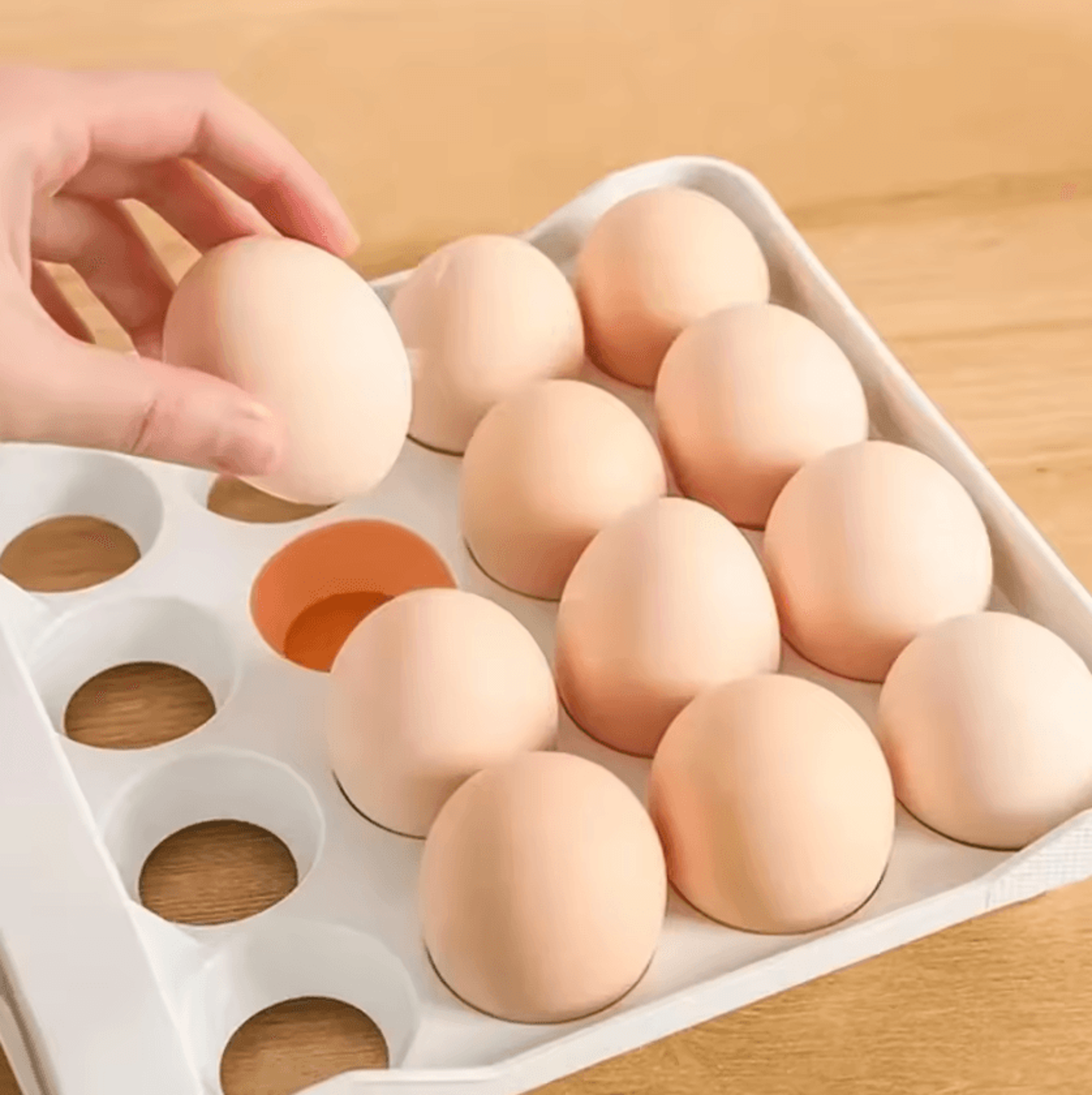 RollFresh Automatic Egg Dispenser Storage Box 2