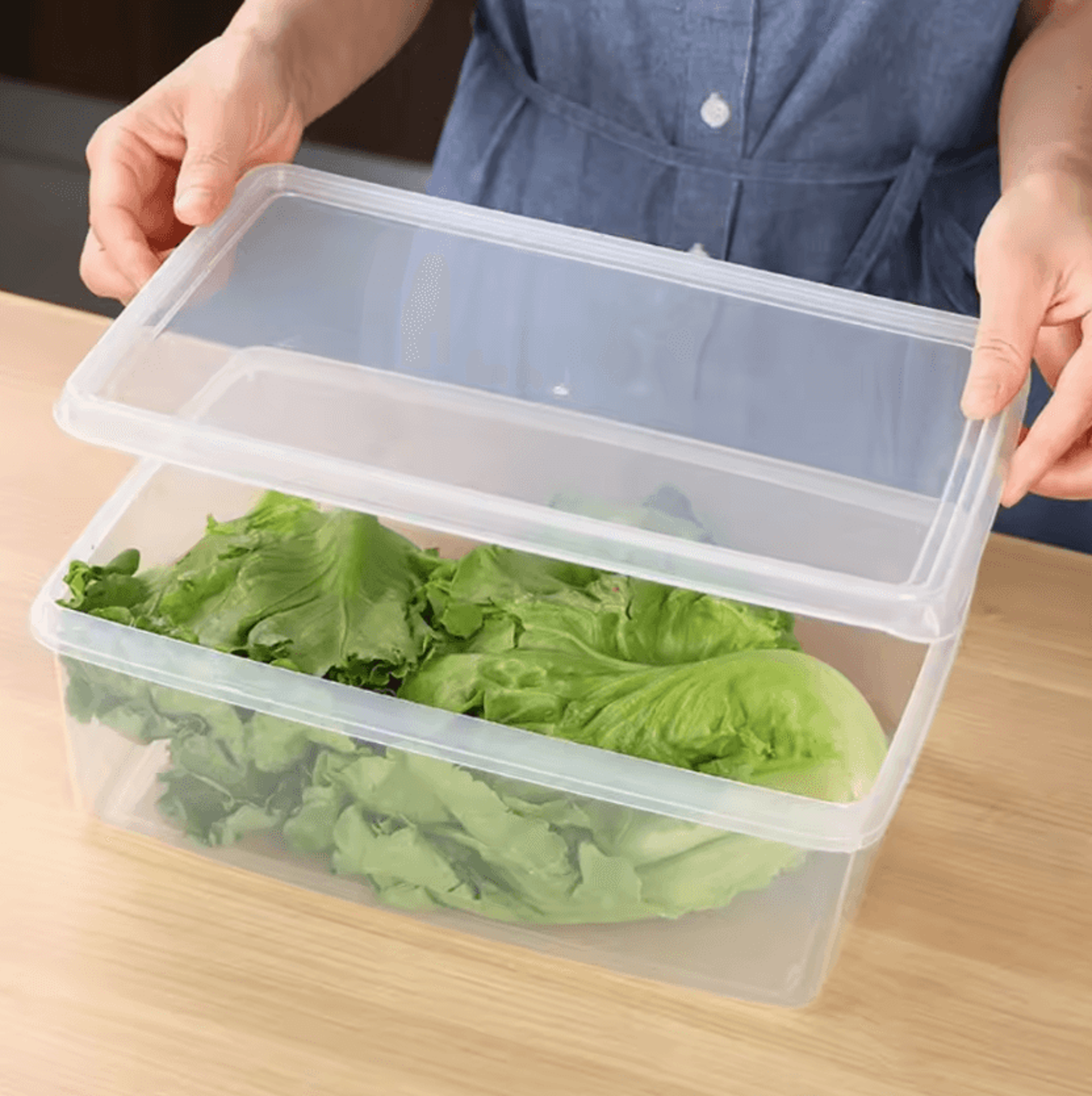 FreshLock Transparent Food Storage Container 0