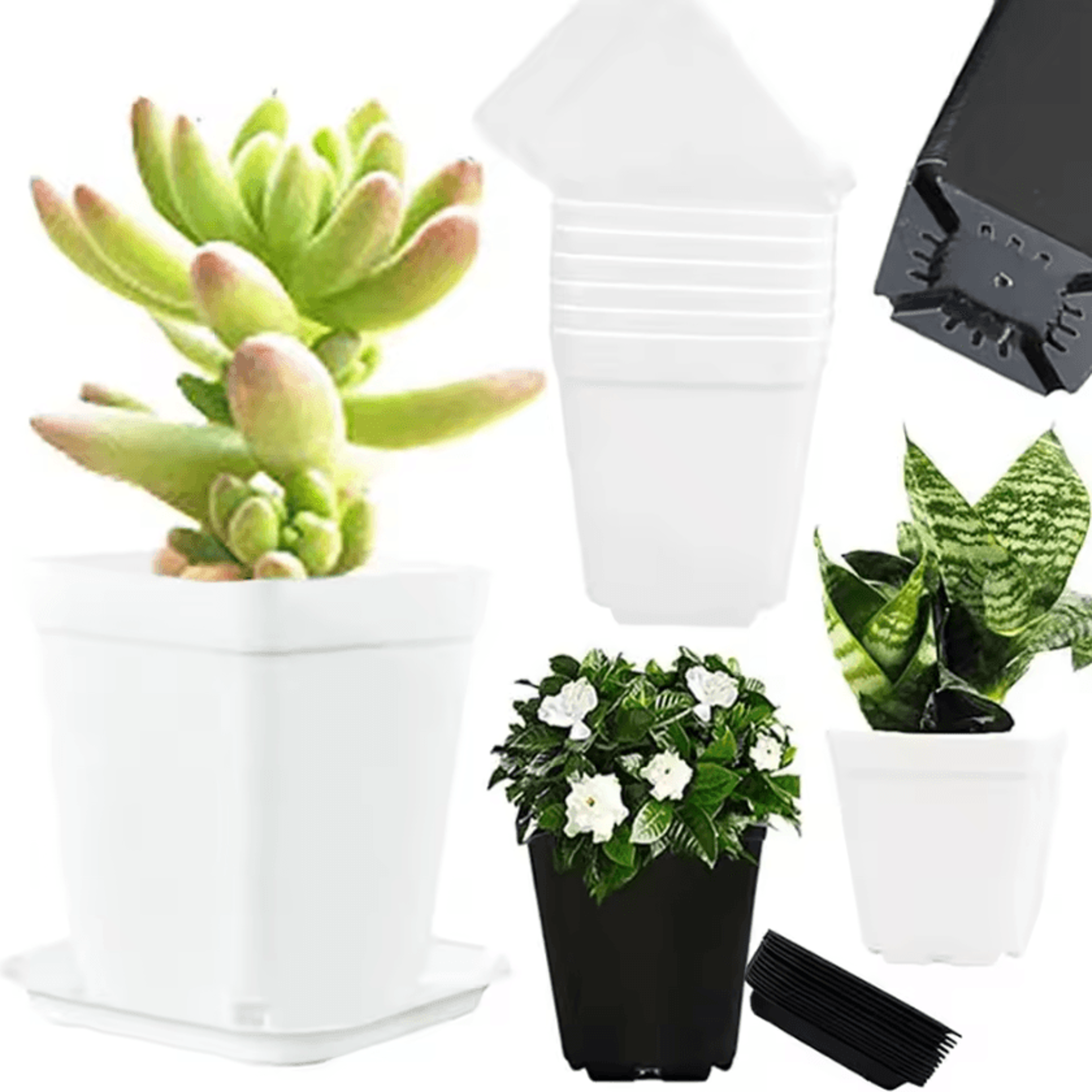 20Pack Mini Succulent Pots Colorful Square Flower Pots With Drainage For Indoor Plants  DIY Crafts 3