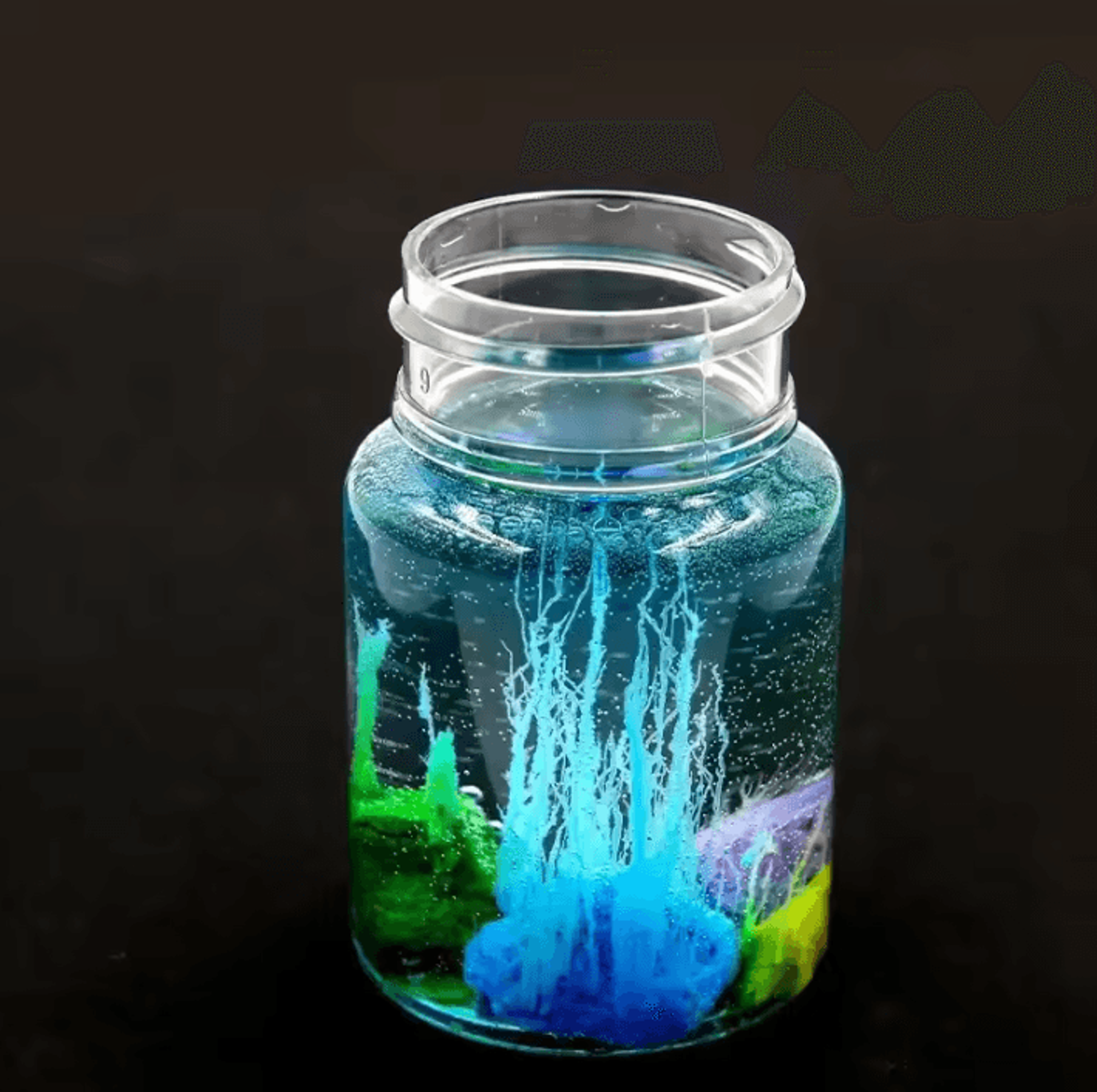 DIY Magic Crystal Garden Science Experiment Kit 2