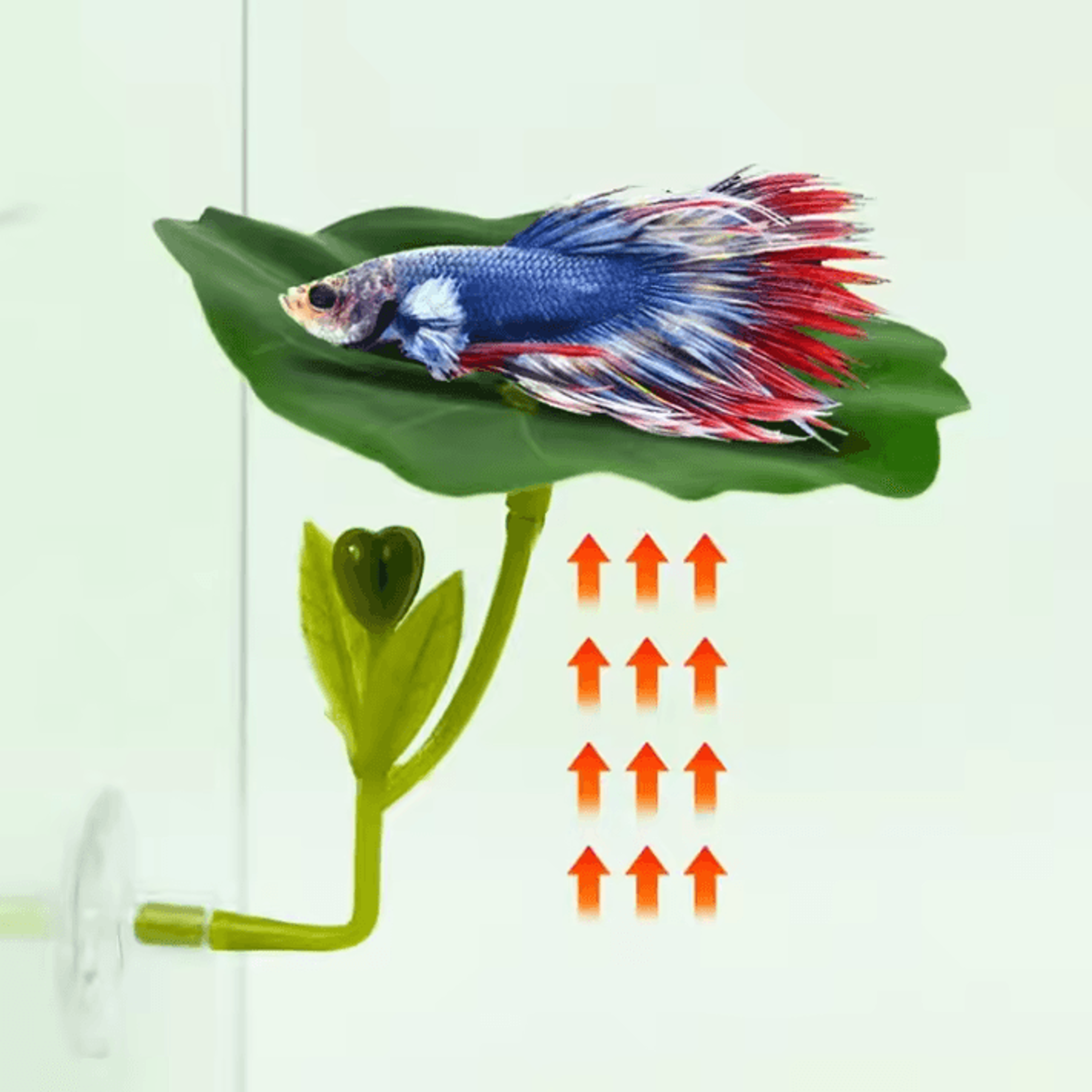 Betta Fish Leaf Hammock With Suction Cup Aquarium Decor 1