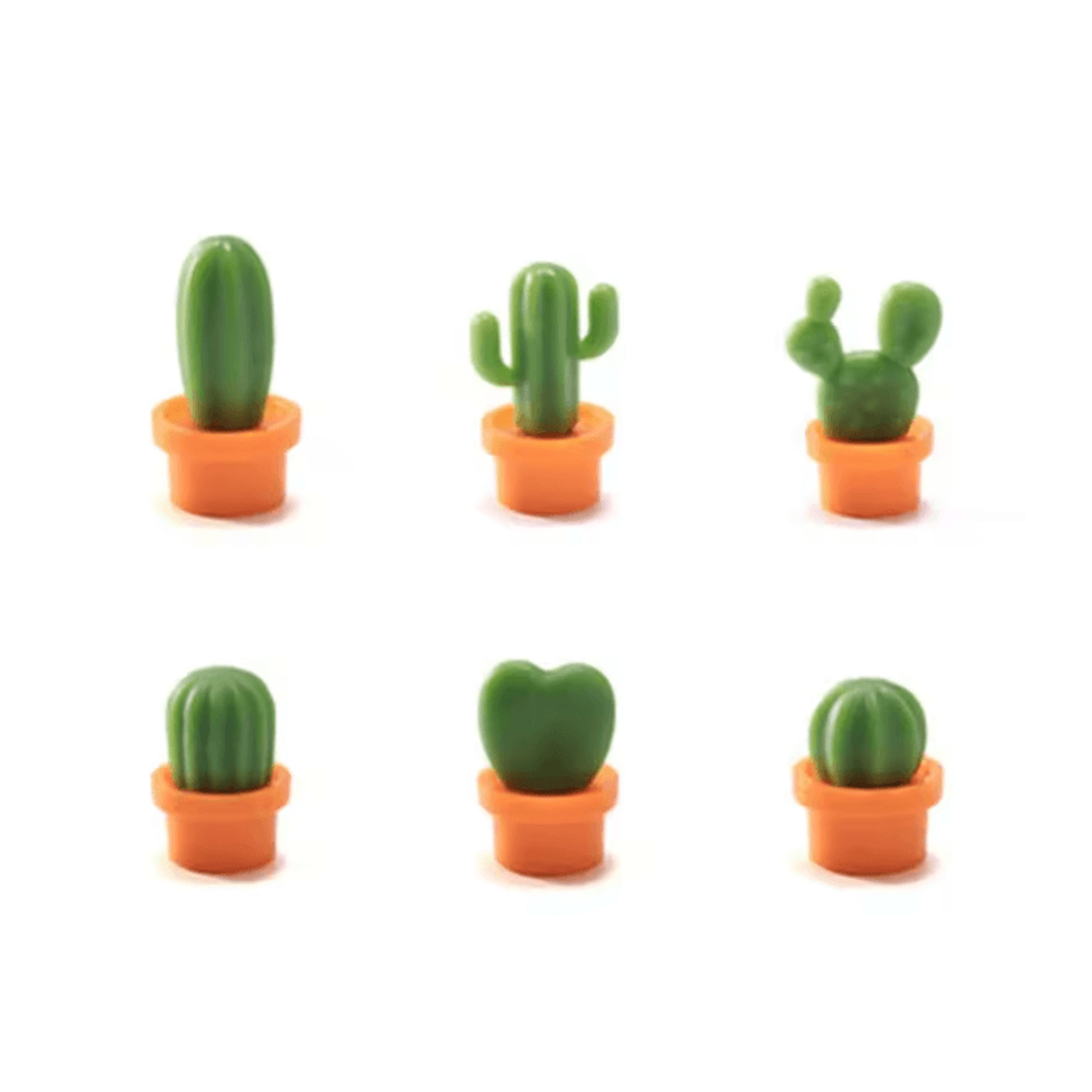 6Piece 3D Cactus Fridge Magnets Decorative Message Holder 4