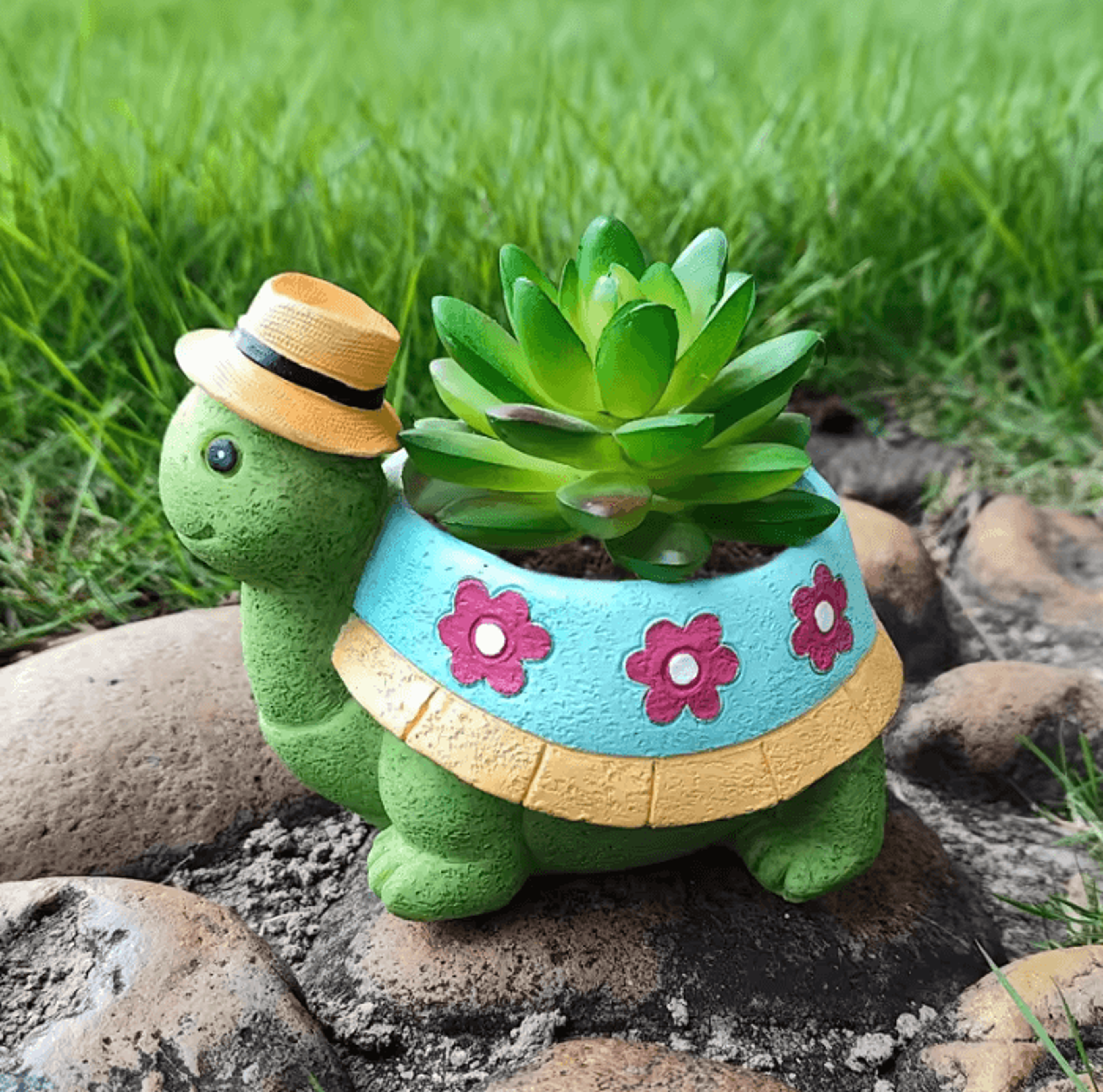 Cute Turtle Succulent Planter Pot For Indoor Plants  Home Decor 3
