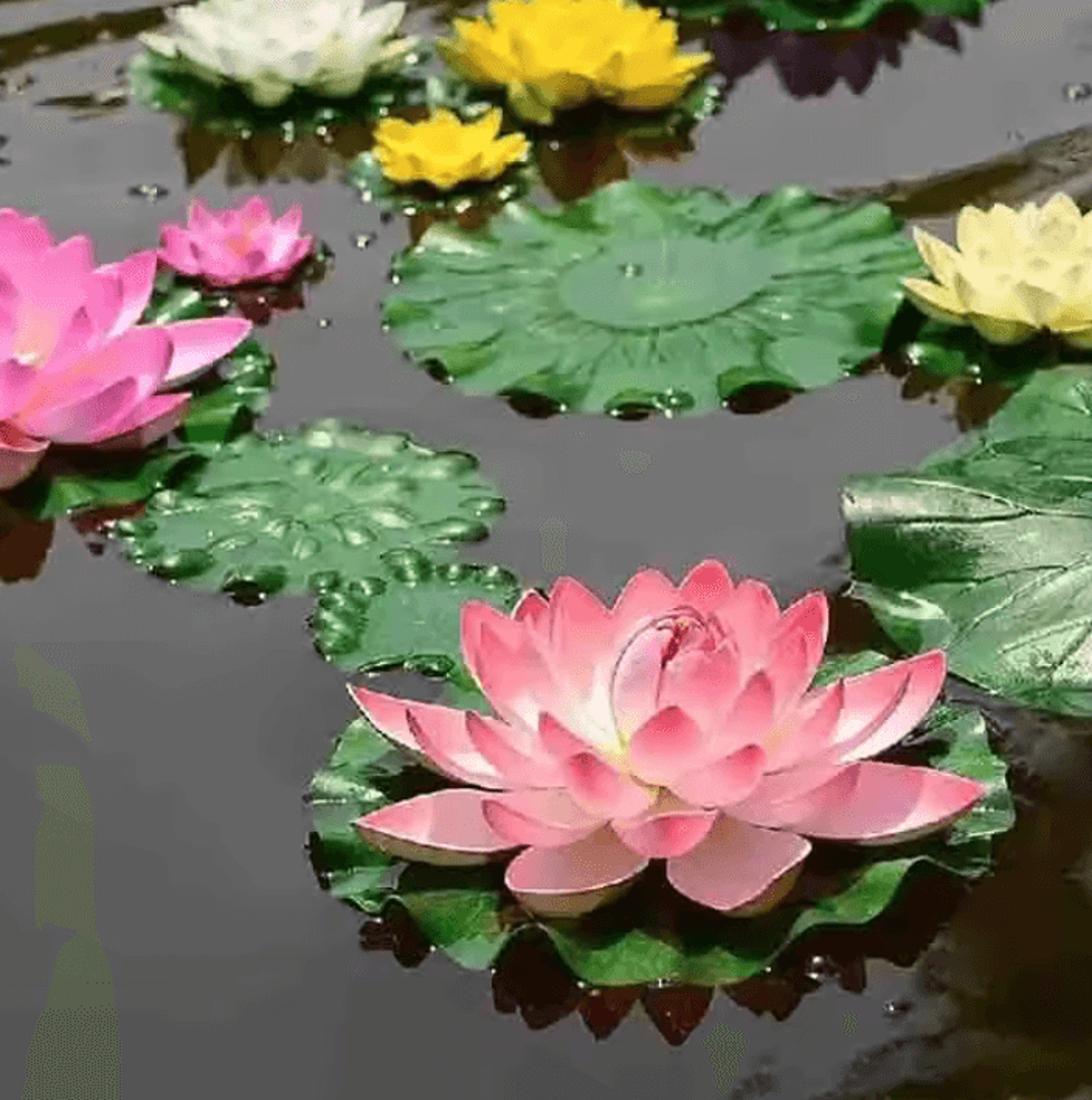 5PCS Artificial Floating Lotus Leaves  Artificial Lotus Leaves For Garden Pond Aquarium  Water Feat 3