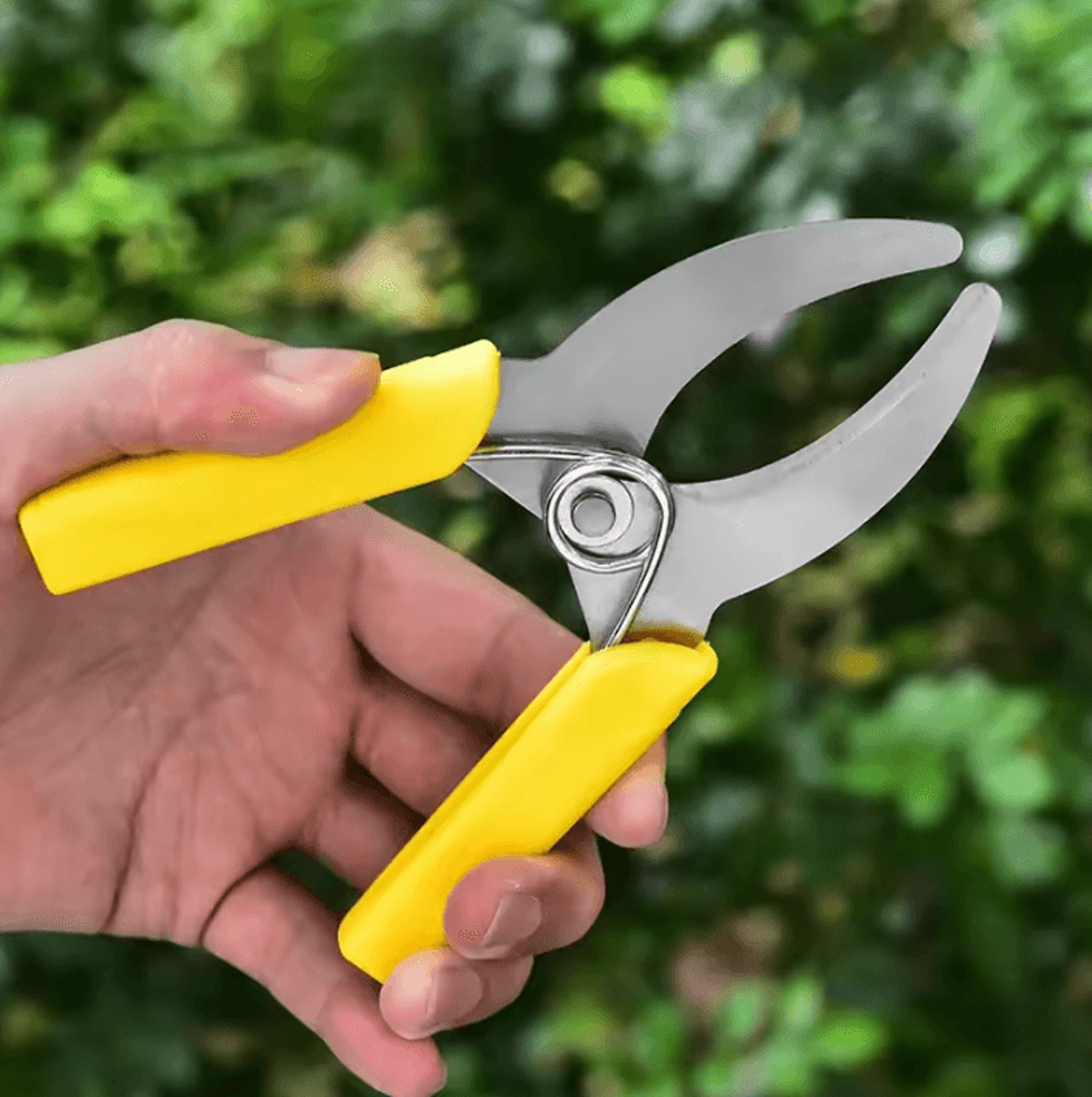 Stainless Steel Grafting Knife  Professional Pruning Knife For Fruit Trees  Garden Branch Cutting 3
