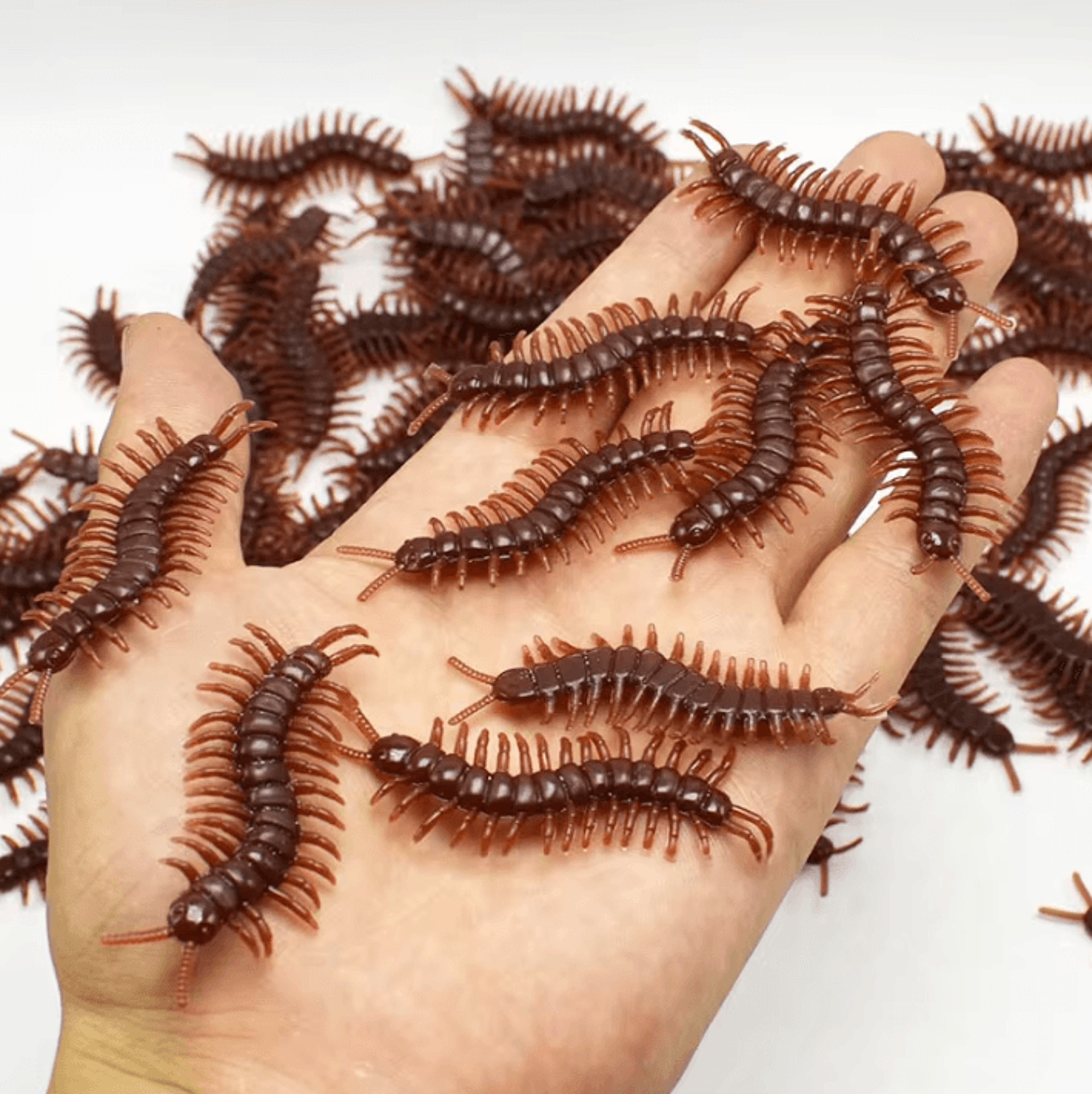 48PCS Realistic Fake Bugs Halloween Prank Insects Decoration Set 4