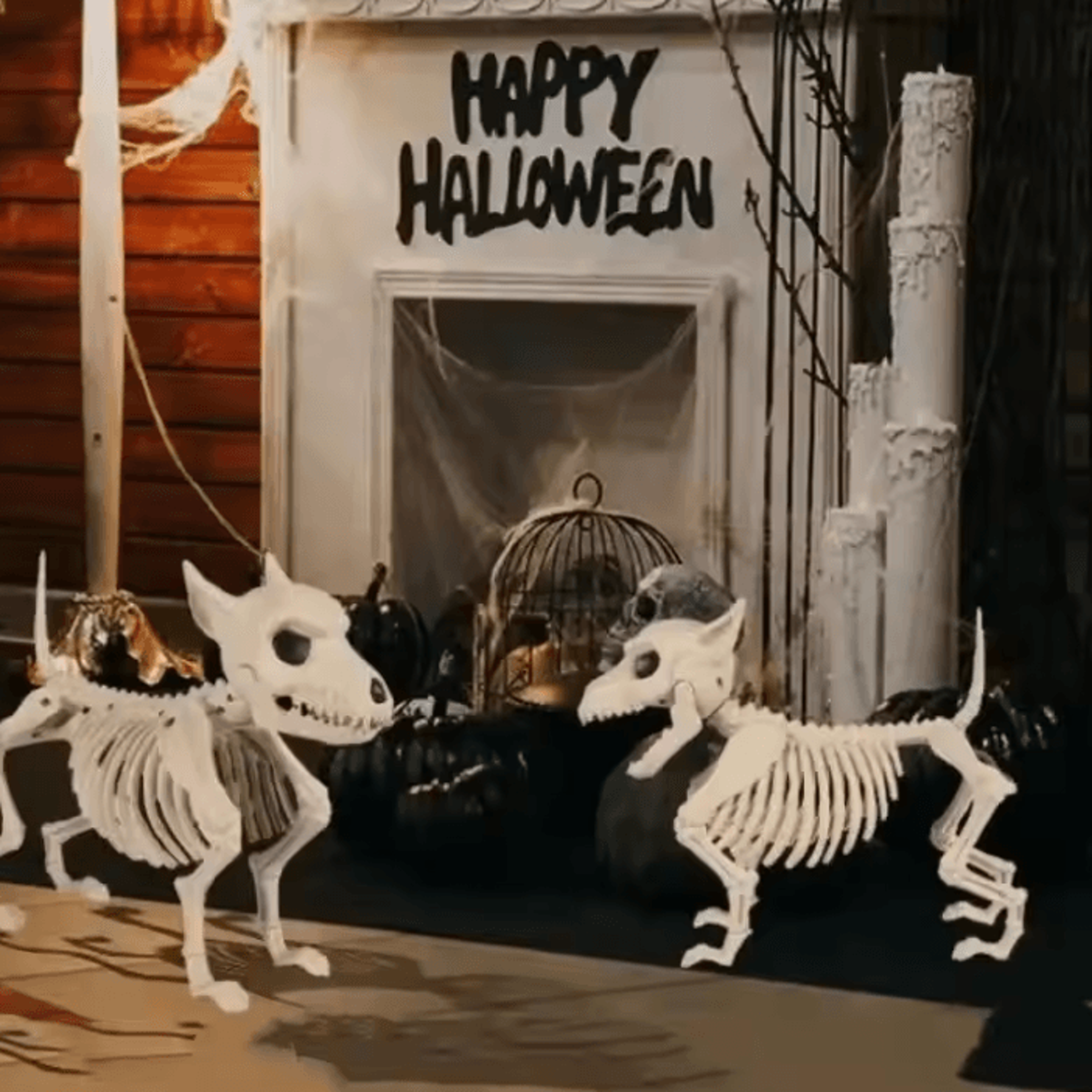 Halloween Skeleton Animal Decor  Skeleton Wolf Decoration For Indoor Outdoor  Garden Displays 1