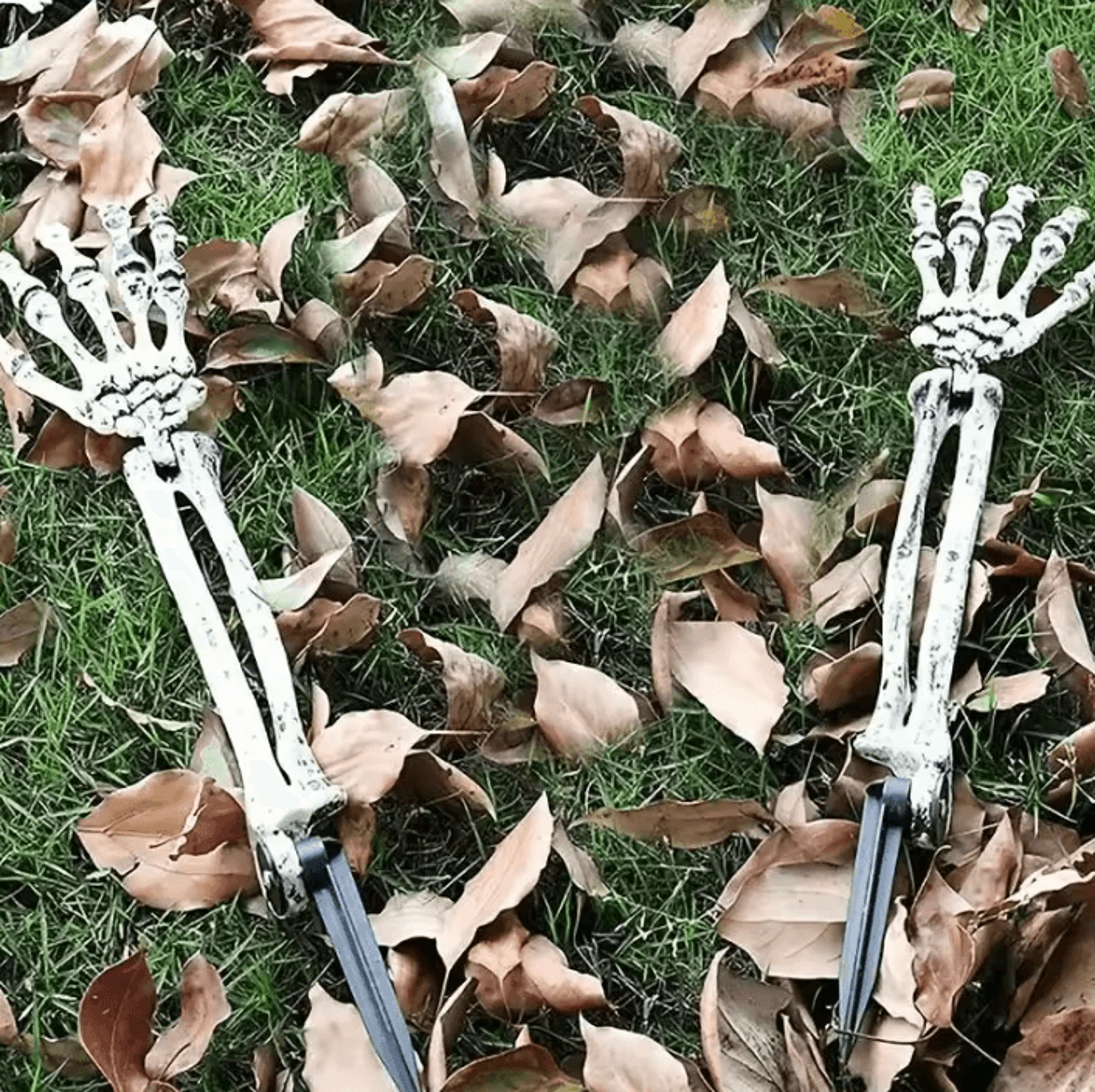 Skeleton Bone Garden Stakes  Skeleton Garden Stakes Skull  Hand Halloween Yard Decorations 1