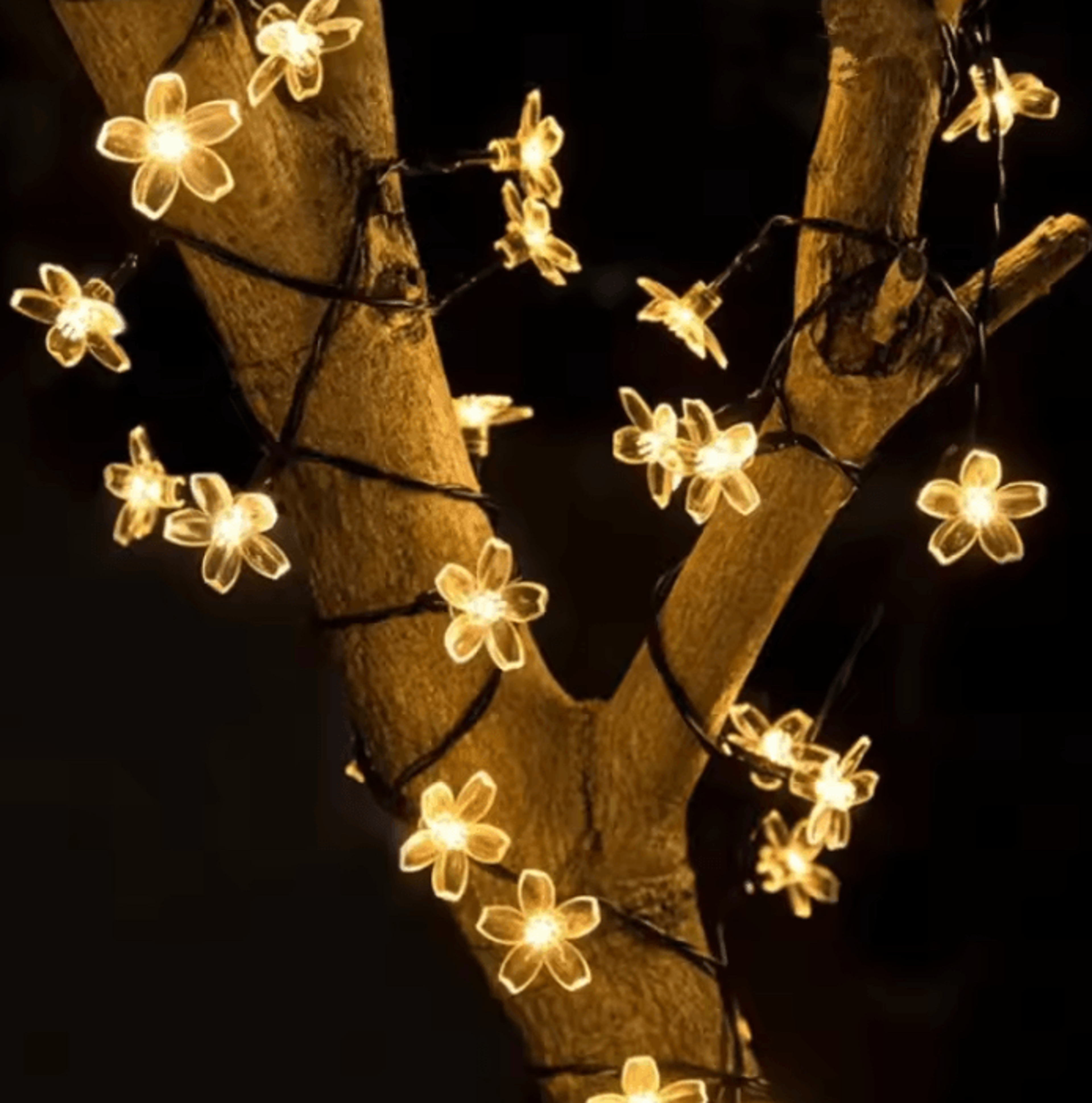 65M 30 LED Solar Sakura String Lights  Waterproof Cherry Blossom Garden Lights 1