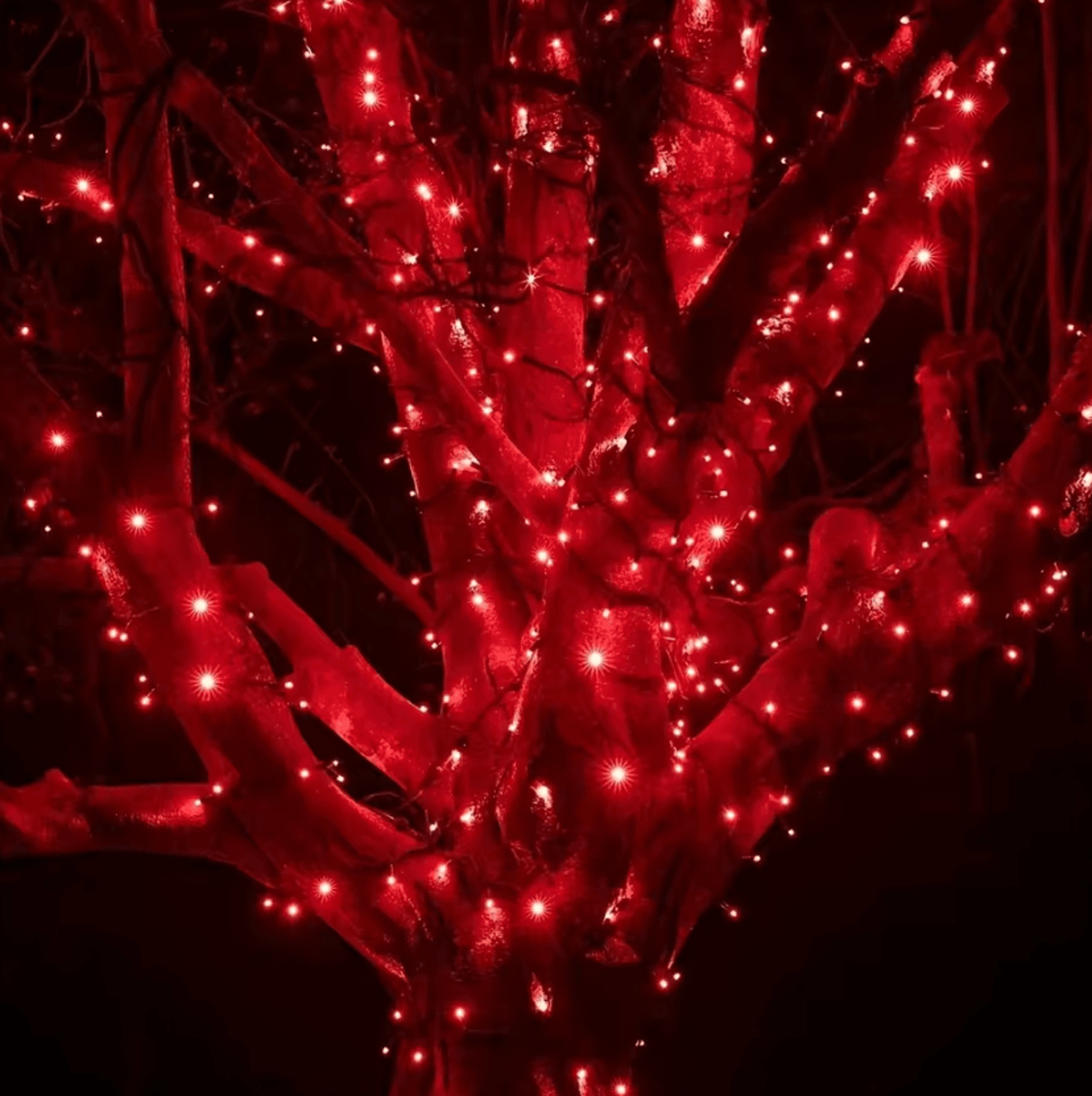 Solar Powered Christmas Lights 50200 LED Red Outdoor String Lights 1