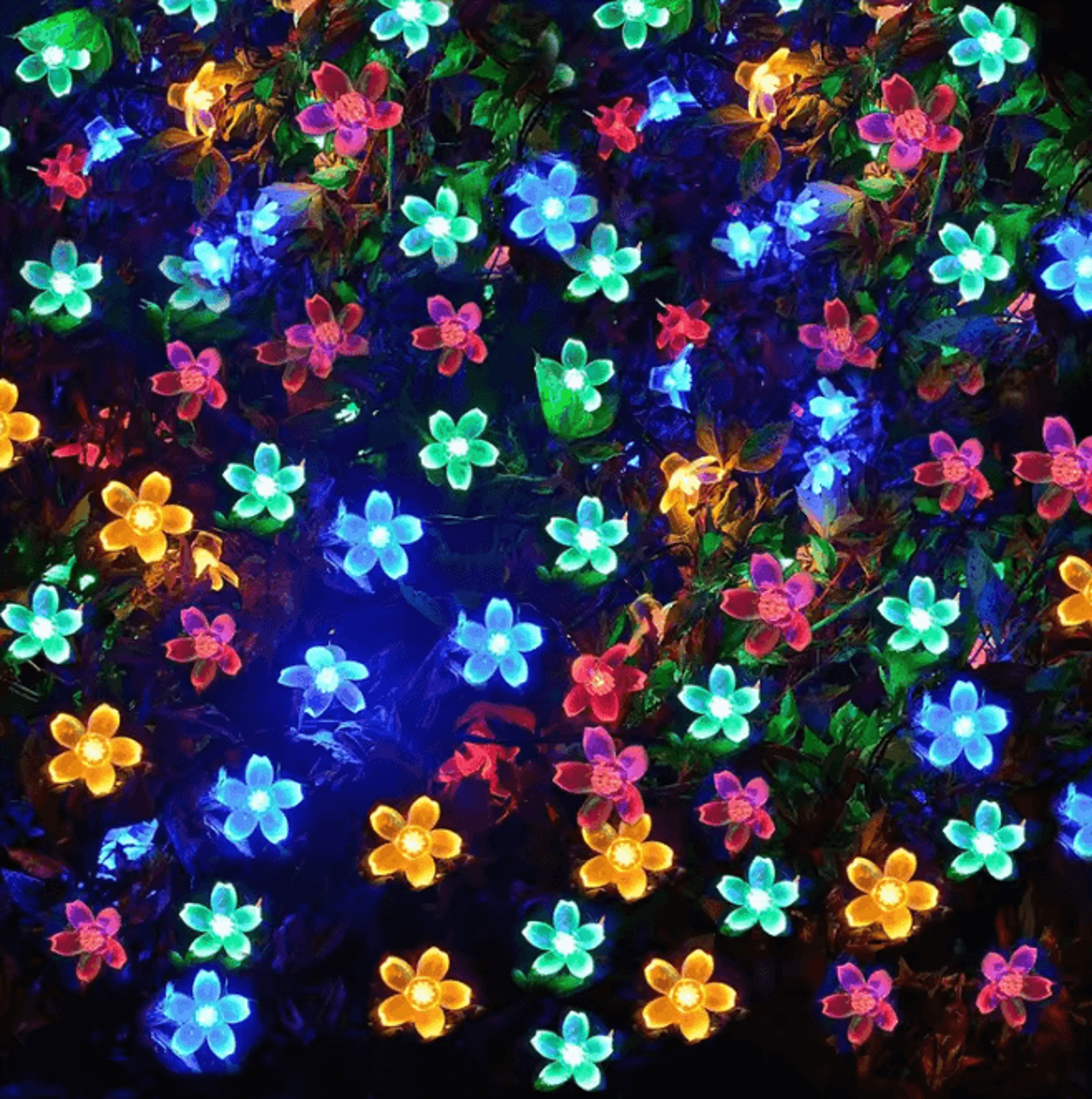 Solar Cherry Blossom LED String Lights For Garden And Patio 2