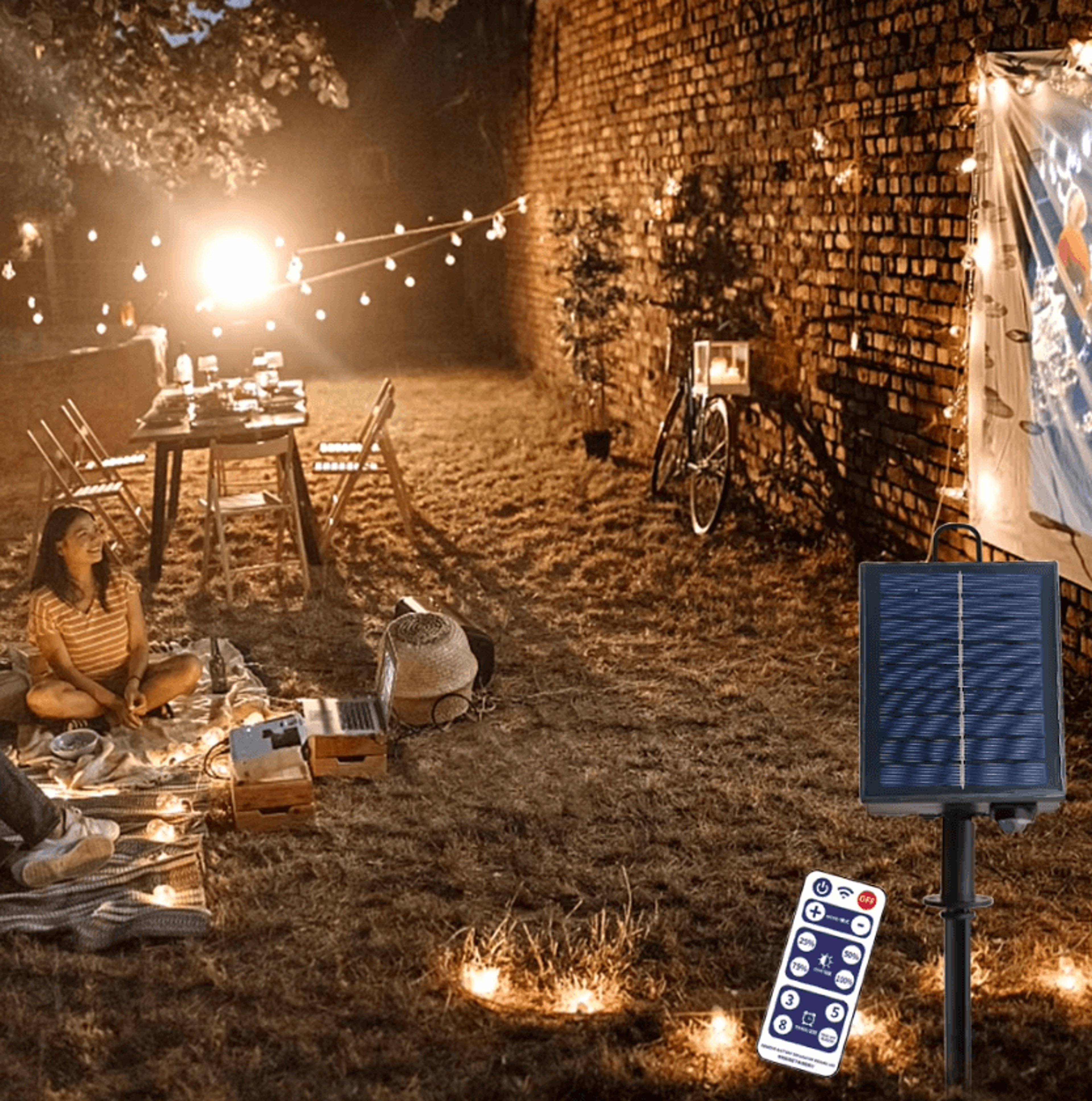 Solar Panel Controller With Remote For LED String Lights 2