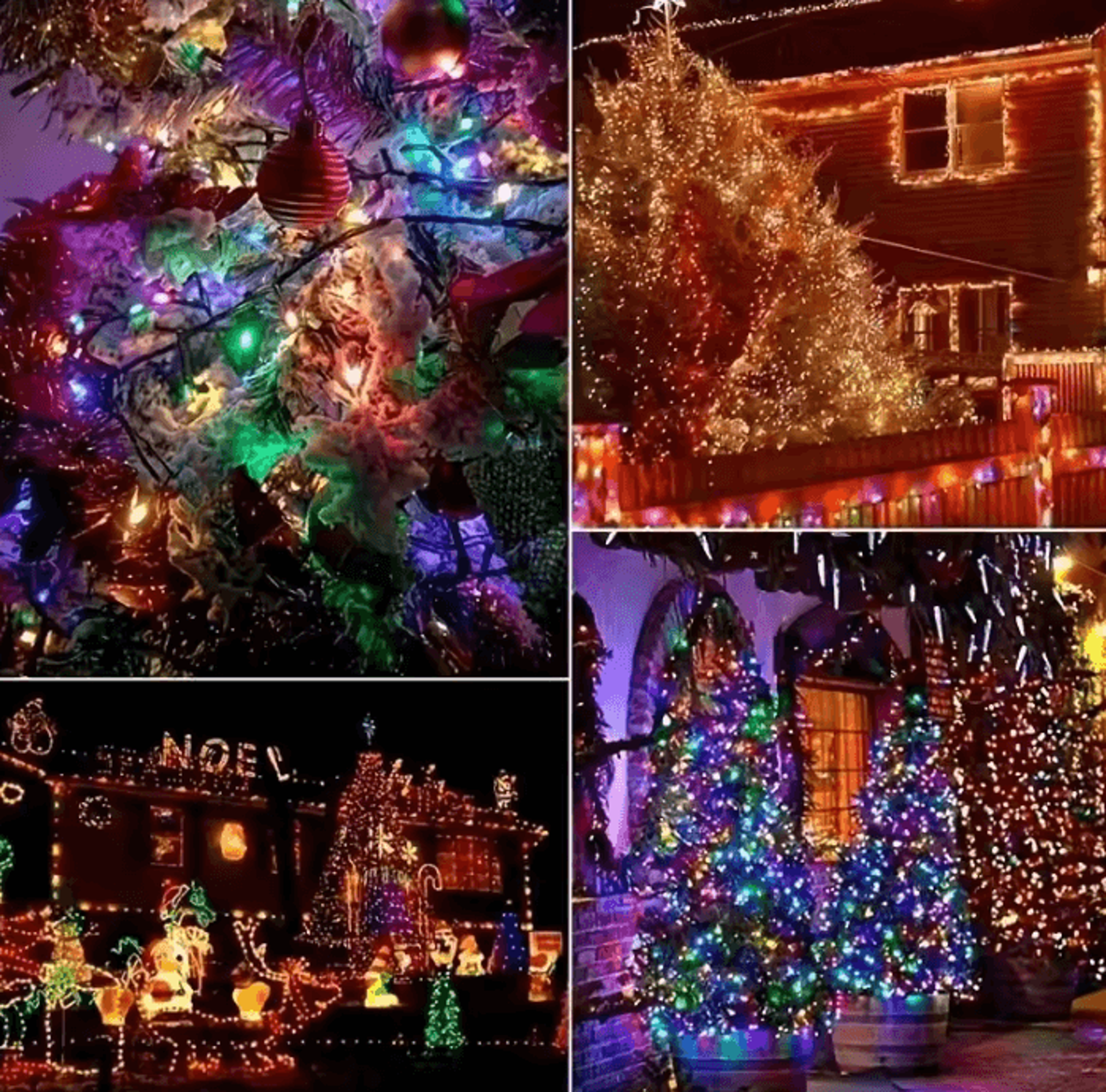 Solar Fairy String Lights With 8 Lighting Mode 4
