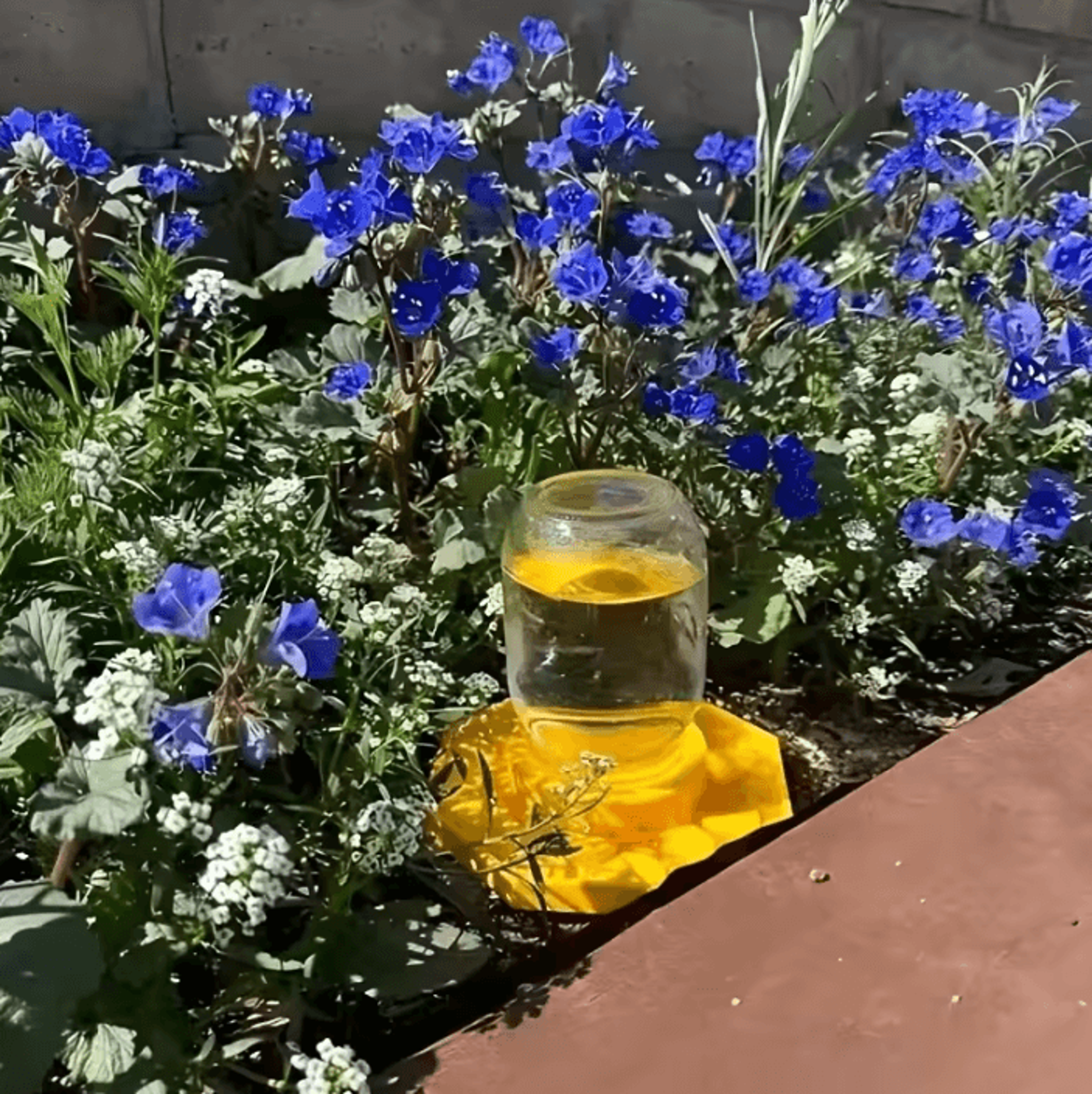 Bee Water Feeder With Perch And Honeycomb Drinking Tray 1