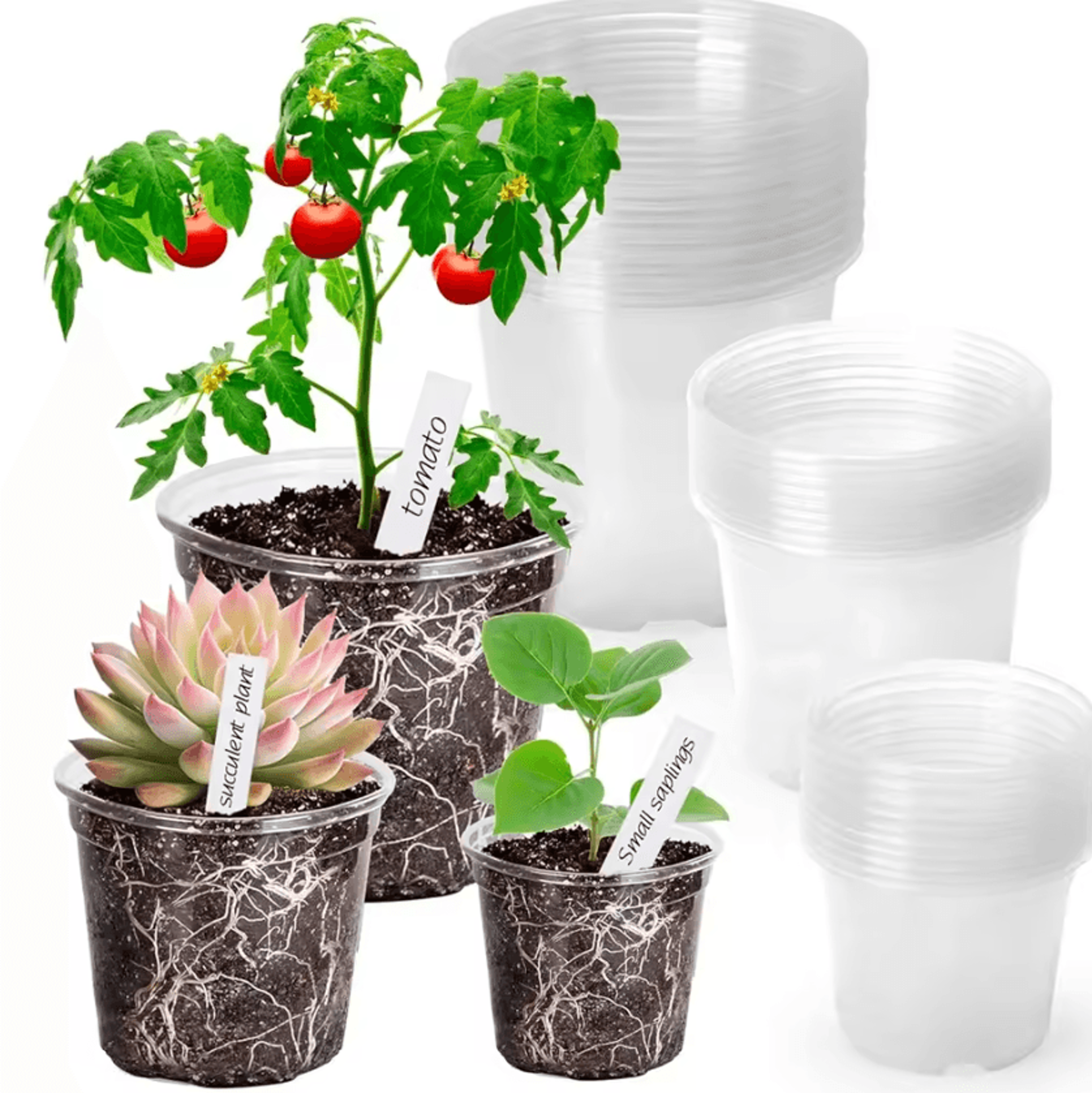 Reinforced Clear Nursery Pots With Drainage Holes 0