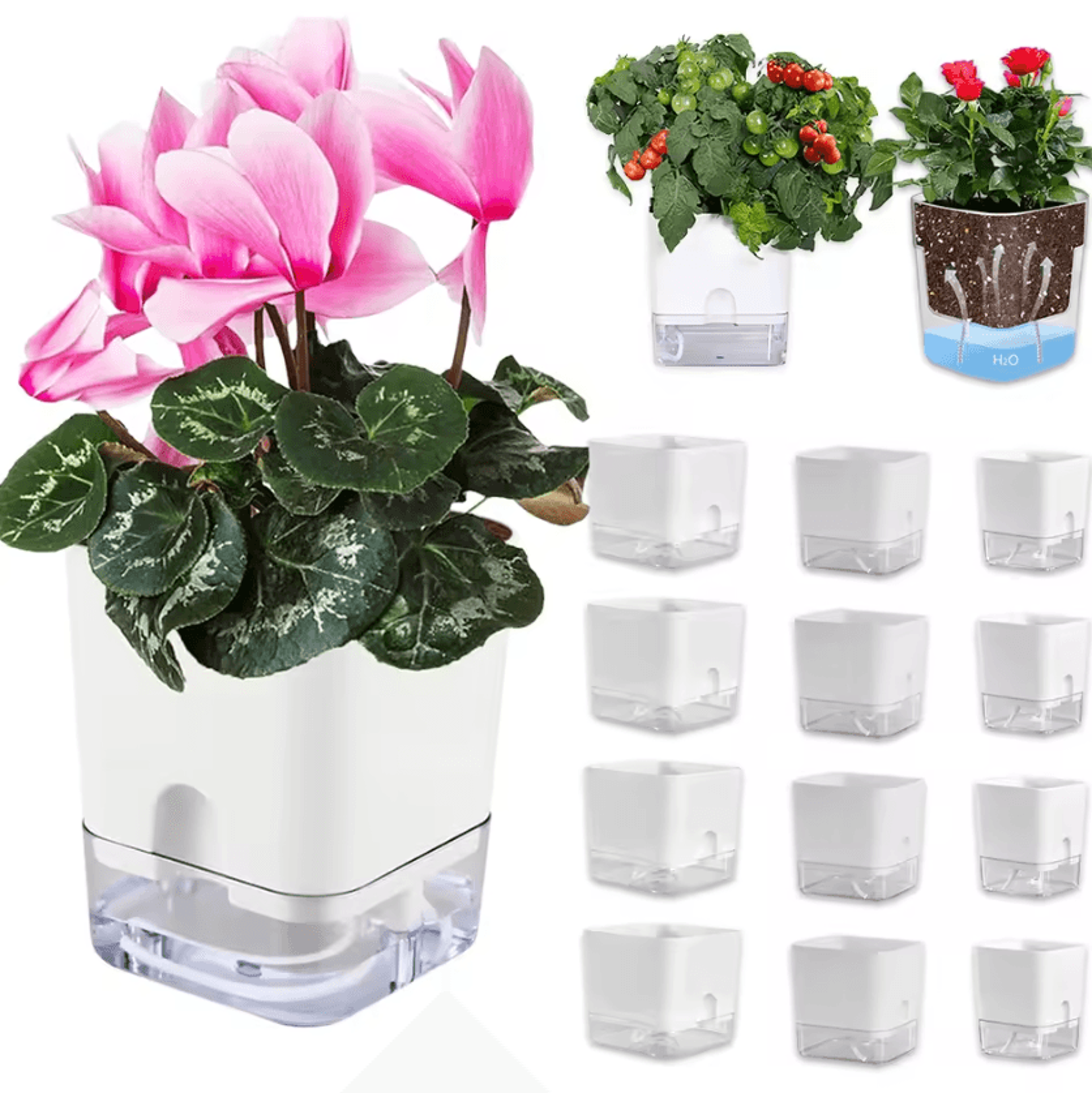 Clear Self Watering Planter With Wicking System 0
