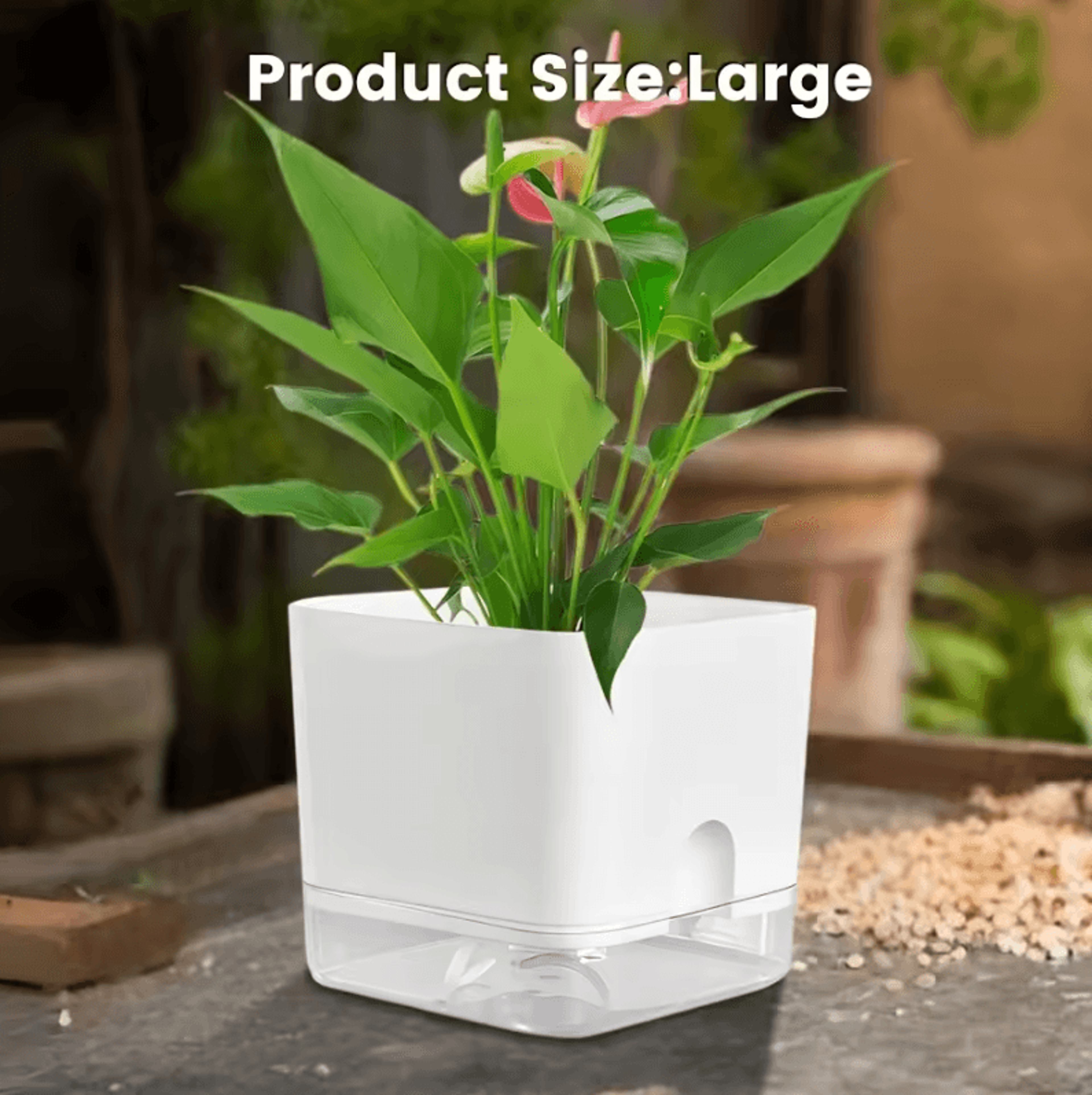 Clear Self Watering Planter With Wicking System 2