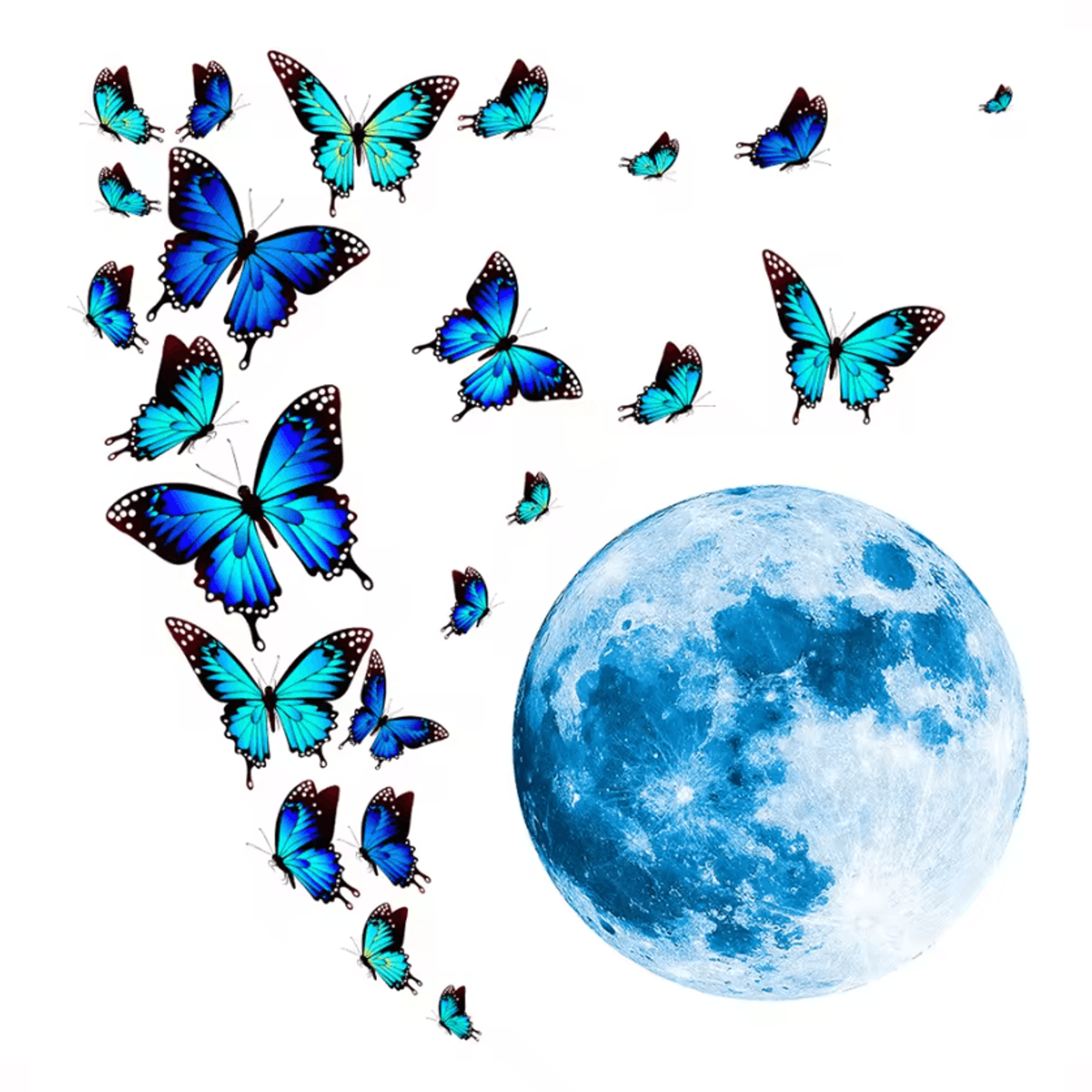 4 Piece Moon And Butterfly Glow In The Dark Wall Stickers 1