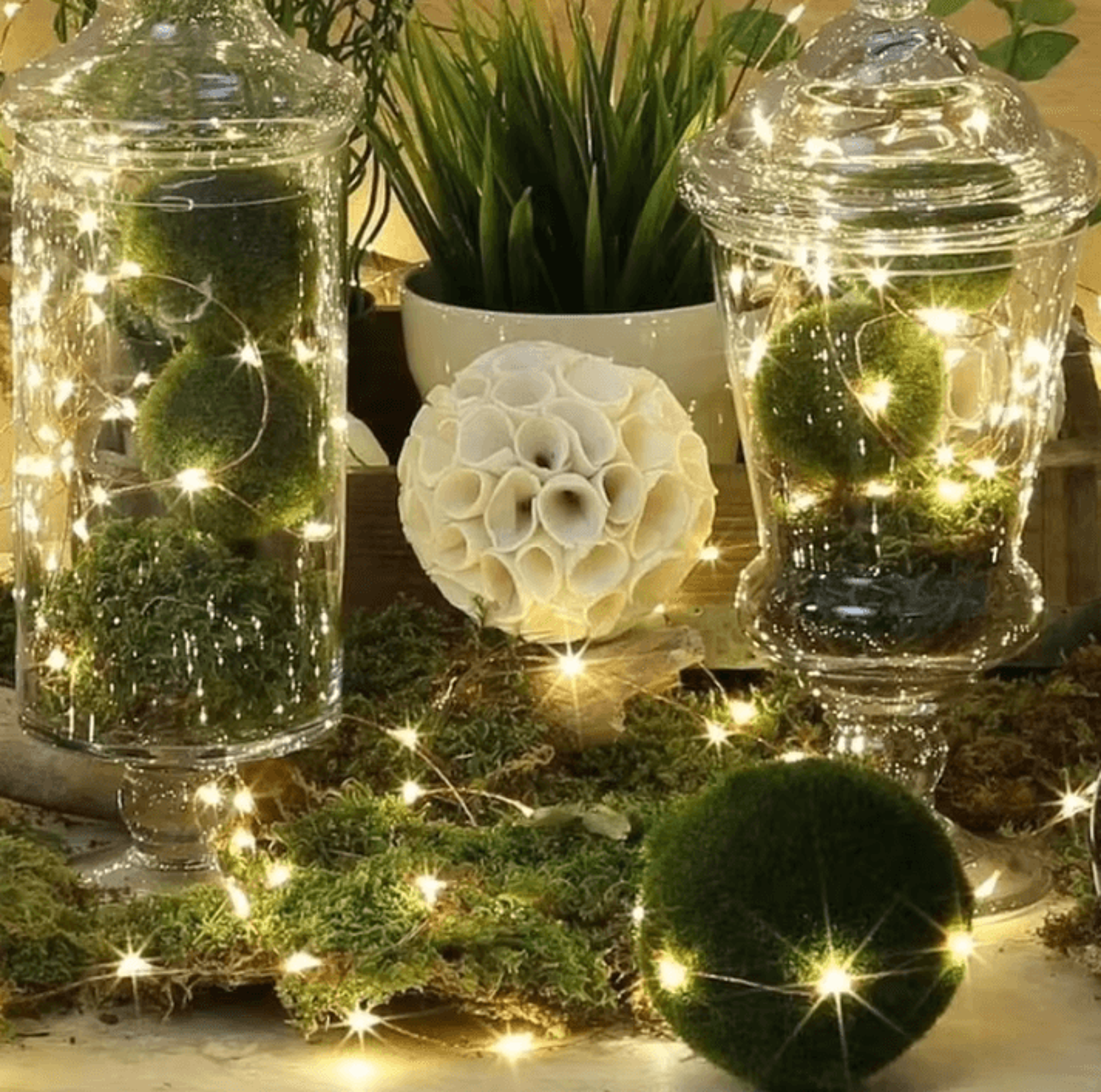 Button Battery Fairy String Lights For Home And Wedding Decor 2