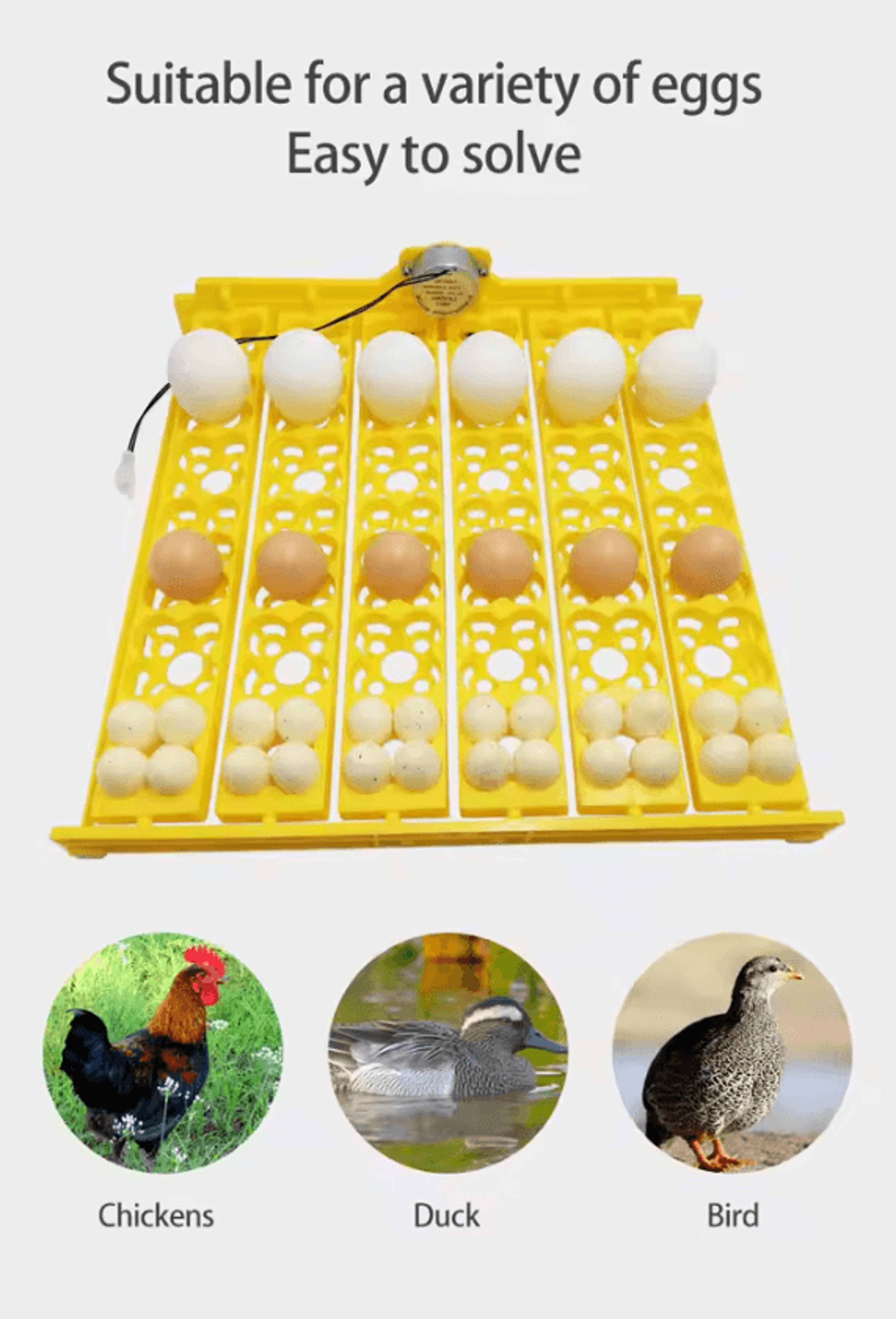 36 Egg Automatic Quail Incubator Turner Tray 2