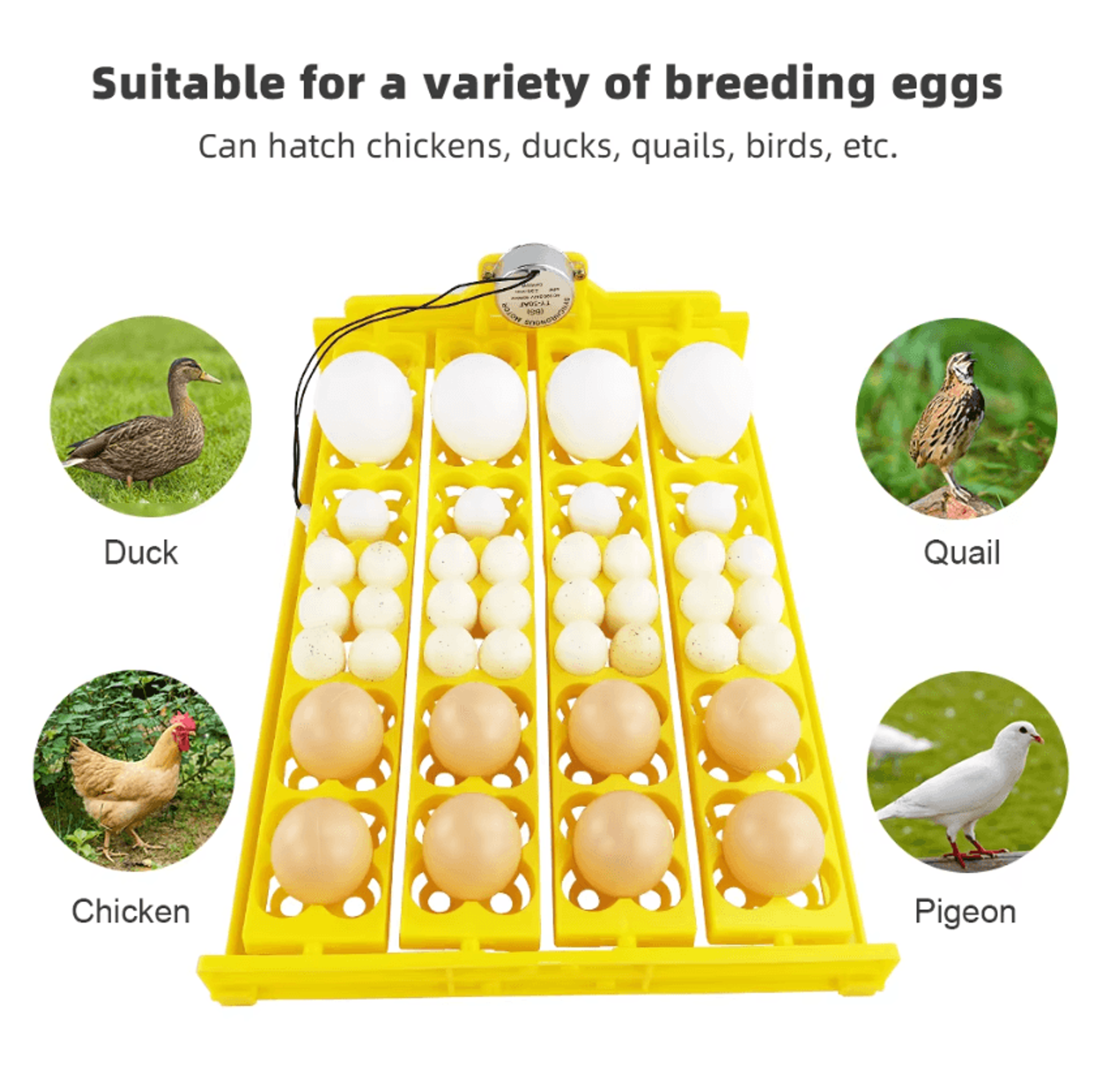 24 Egg Automatic Incubator Turner Tray For Poultry Hatchings 5