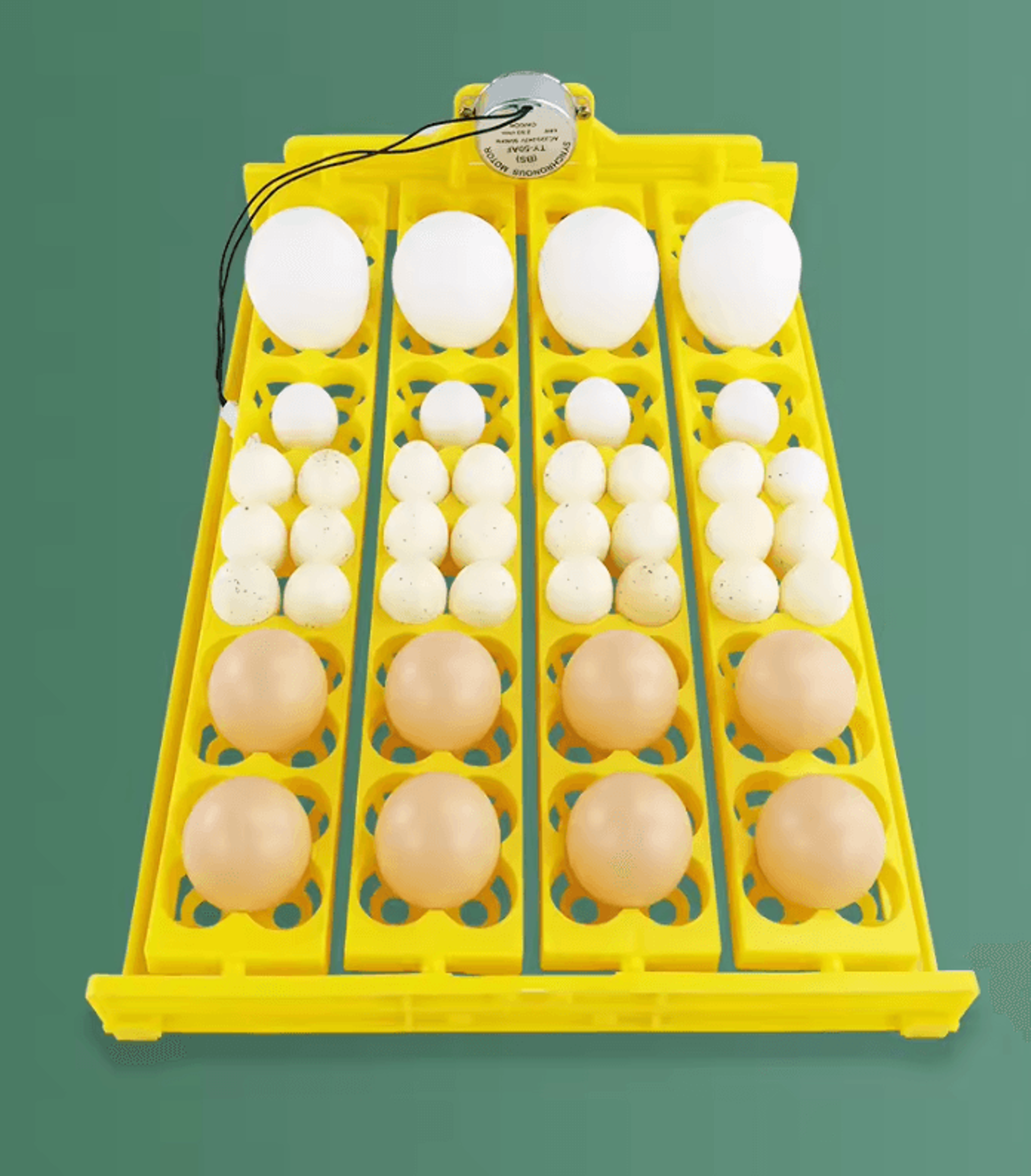 24 Egg Automatic Incubator Turner Tray For Poultry Hatchings 6