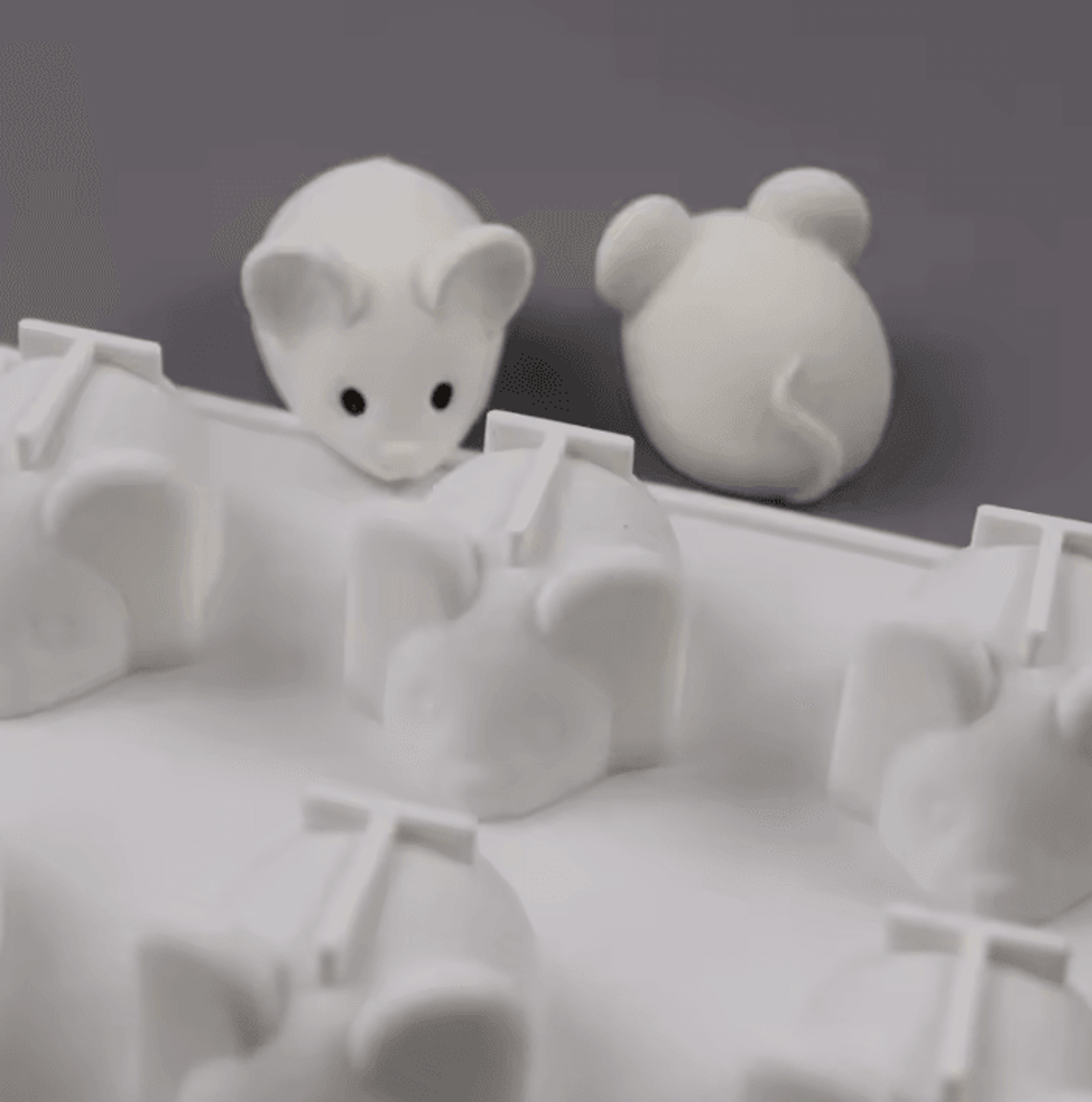6 Cavity Mouse Silicone Mousse And Chocolate Mold 3