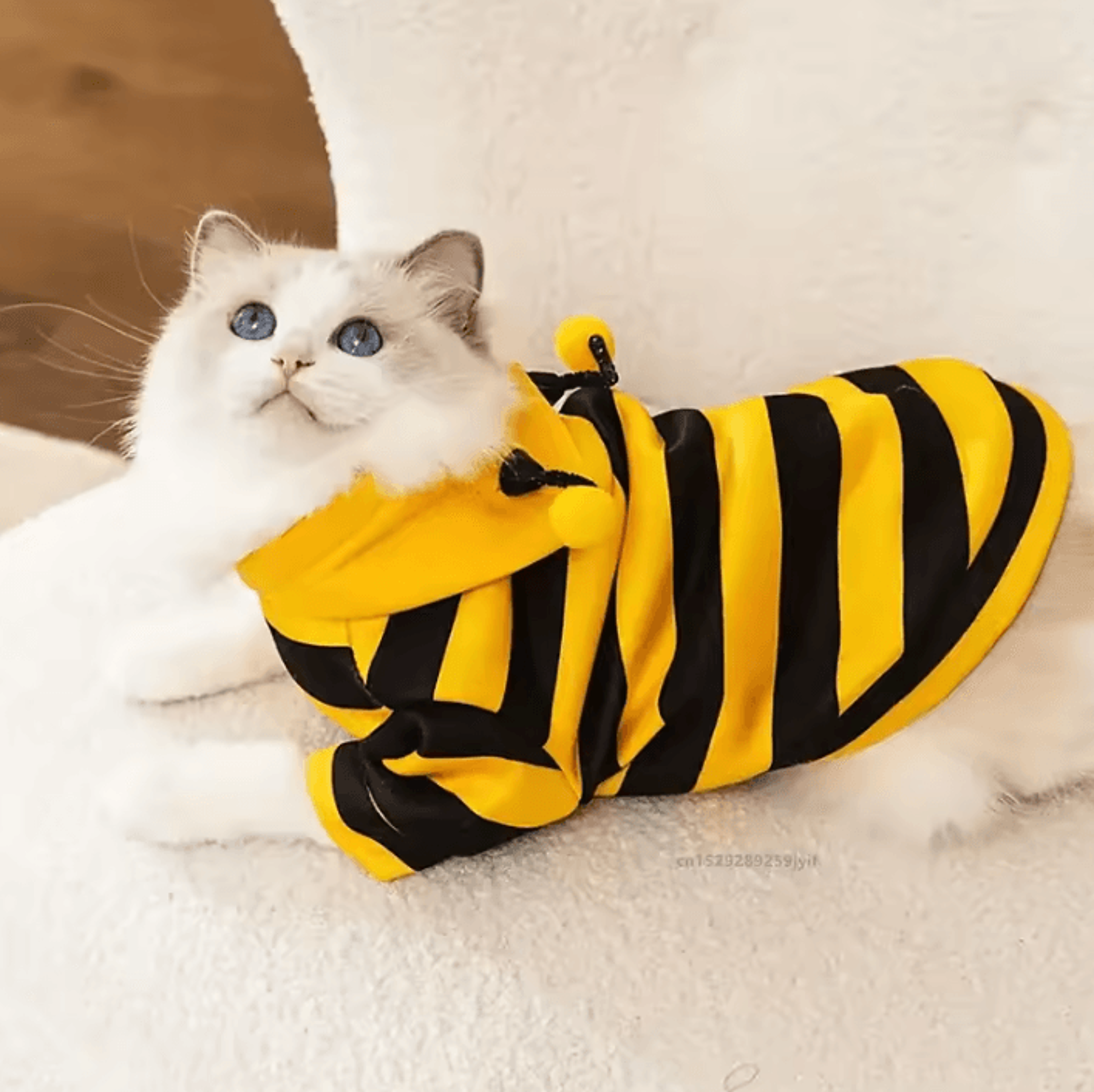 Cozy Bumblebee Pet Hoodie Costume 2