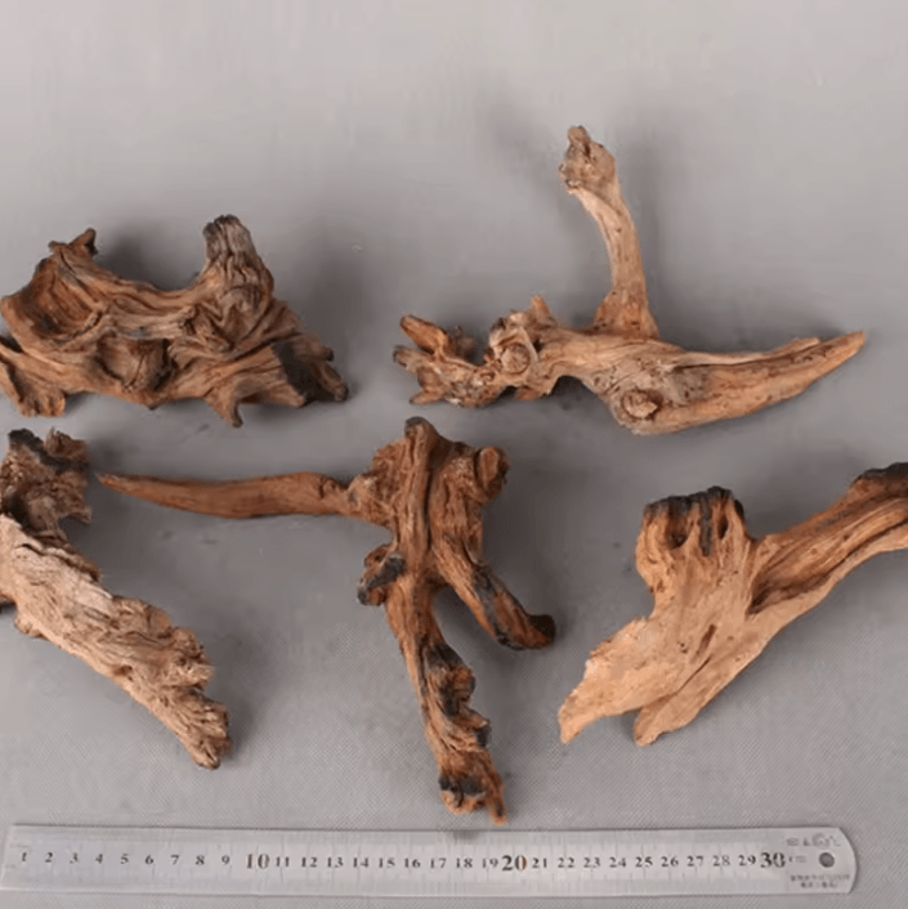 natural rhododendron aquarium driftwood branch