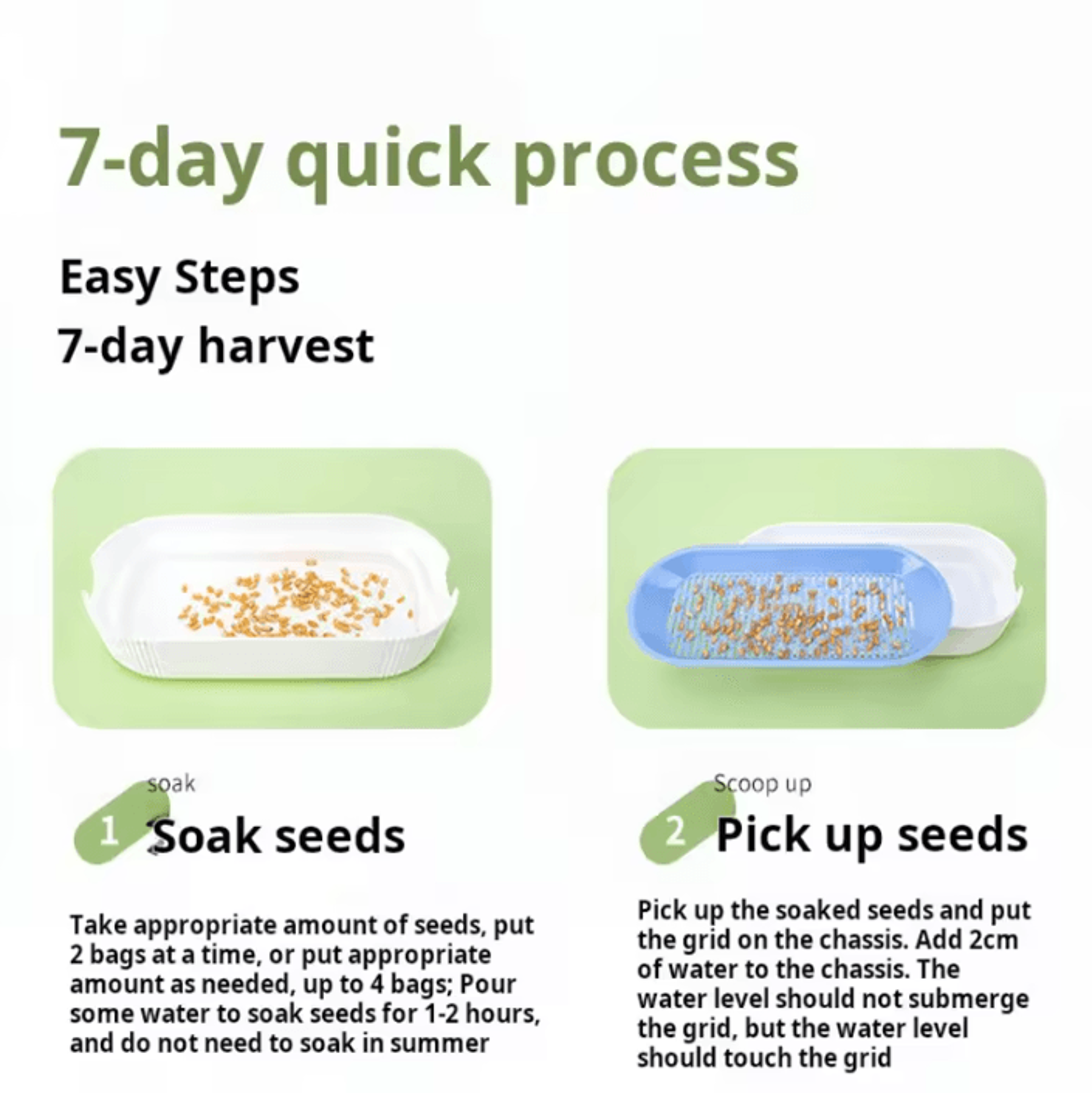 Hydroponic Cat Grass Growing Box 3