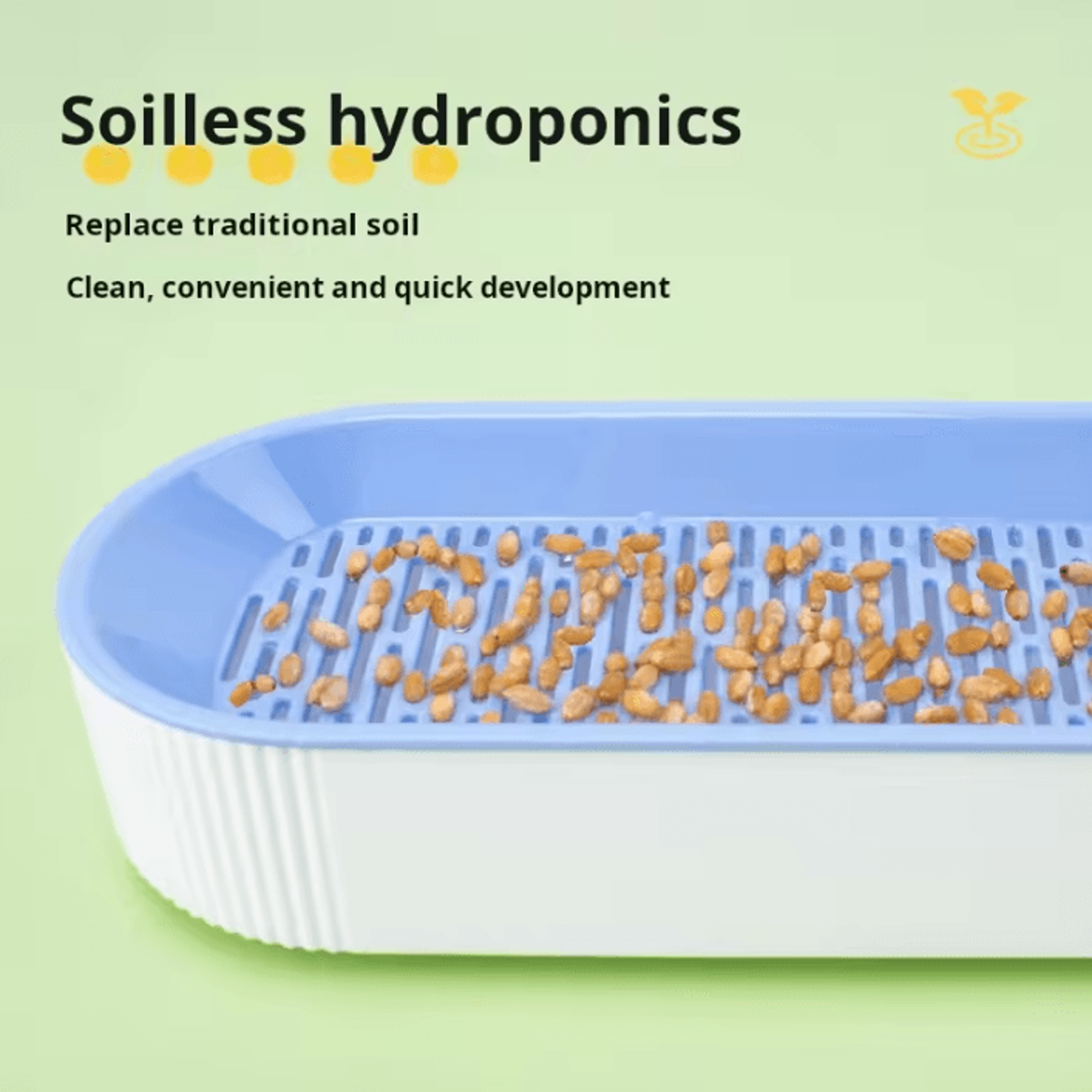 Hydroponic Cat Grass Growing Box 2