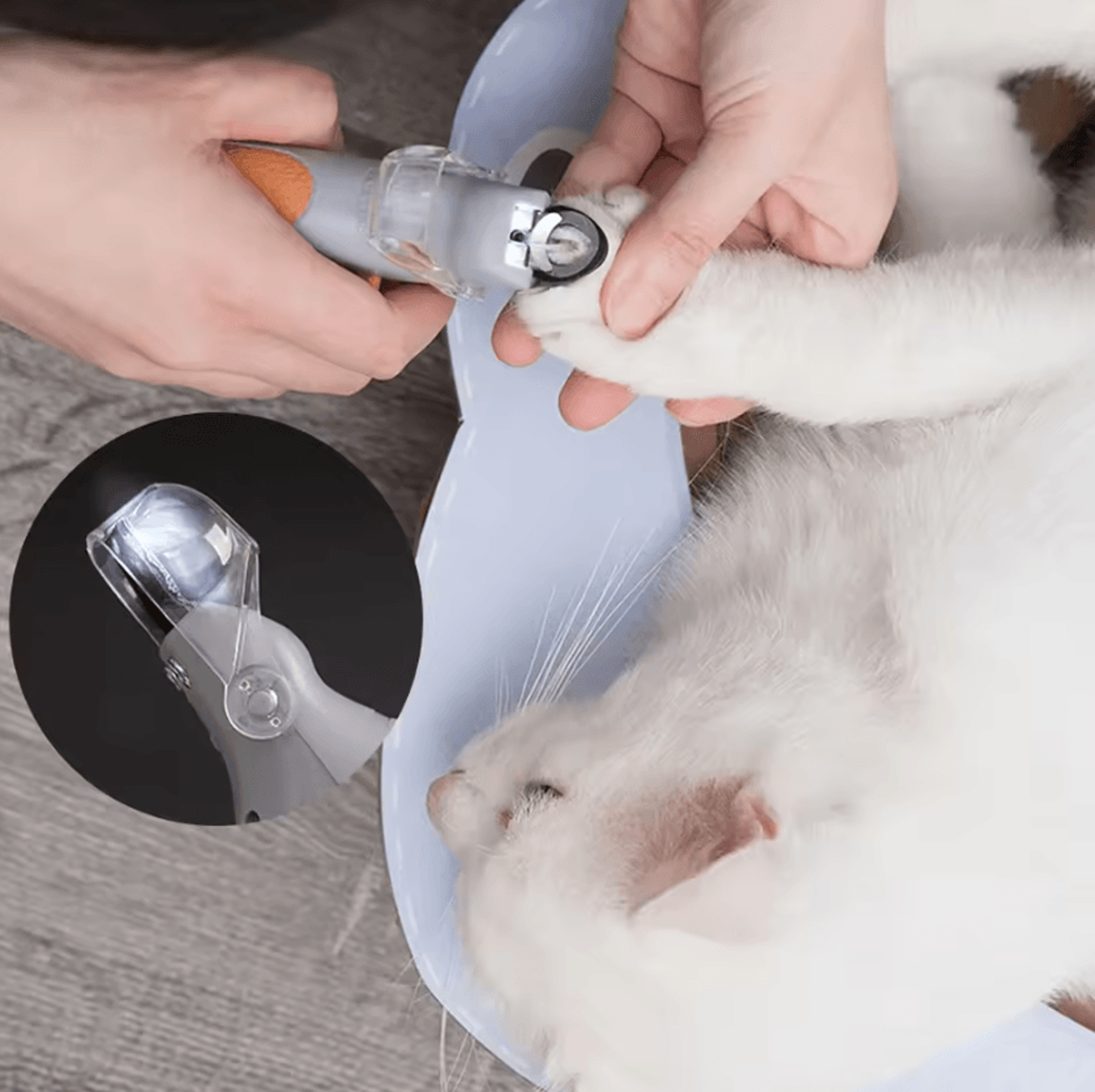 LED Pet Nail Clipper For Dogs And Cats Precision Claw Trimmer 4