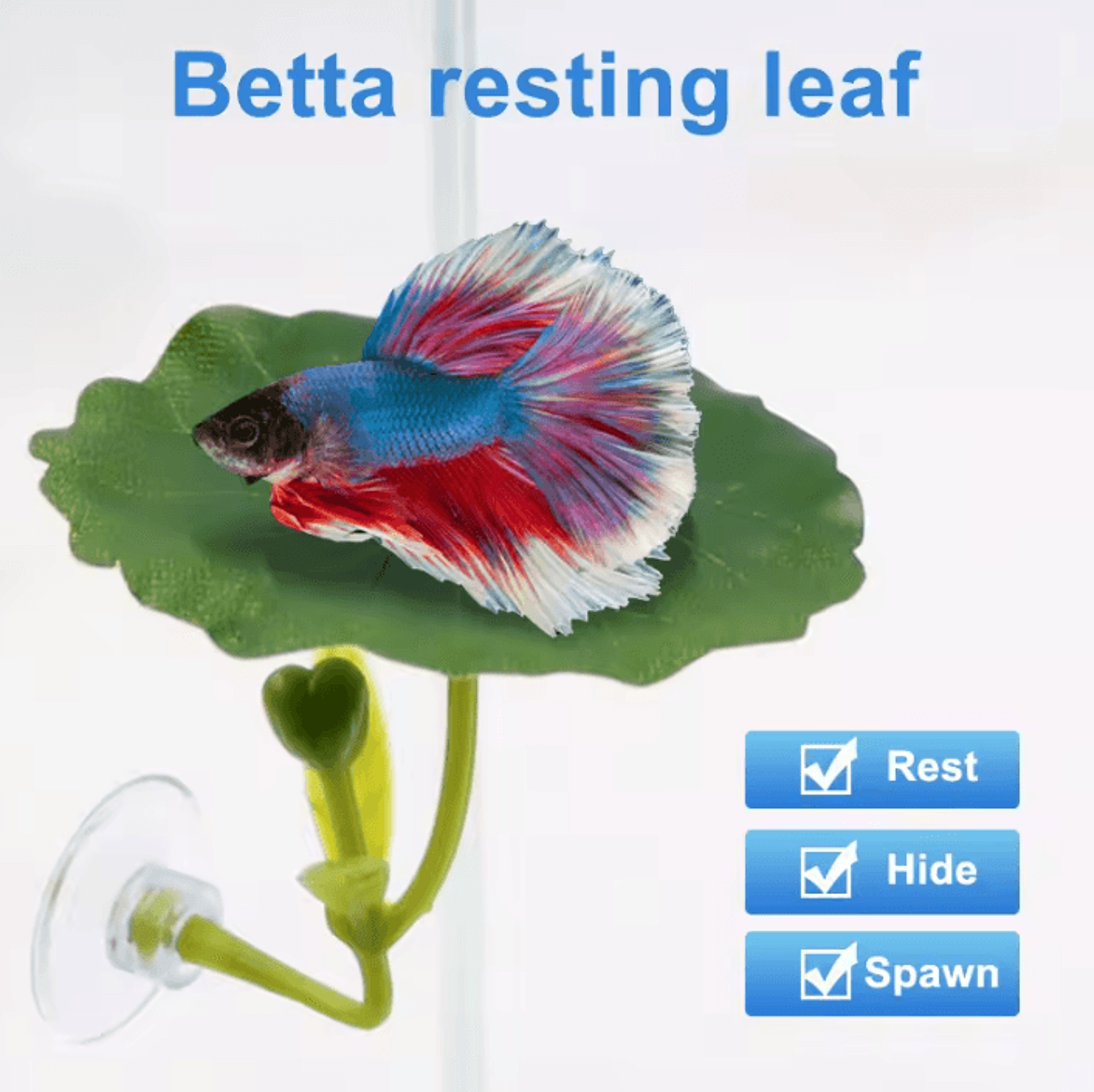 green leaf betta fish hammock with suction cup