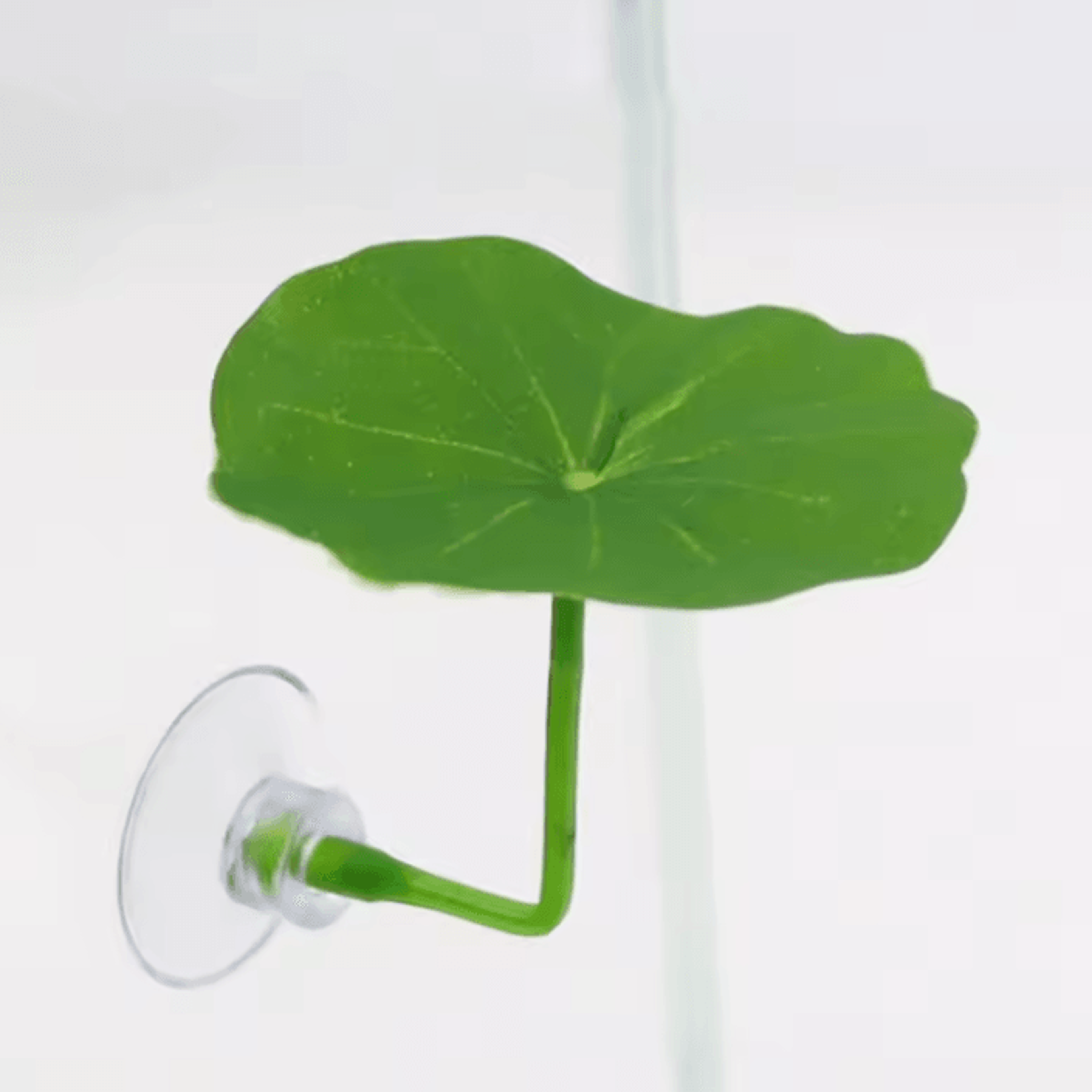 Green Leaf Betta Fish Hammock With Suction Cup 2