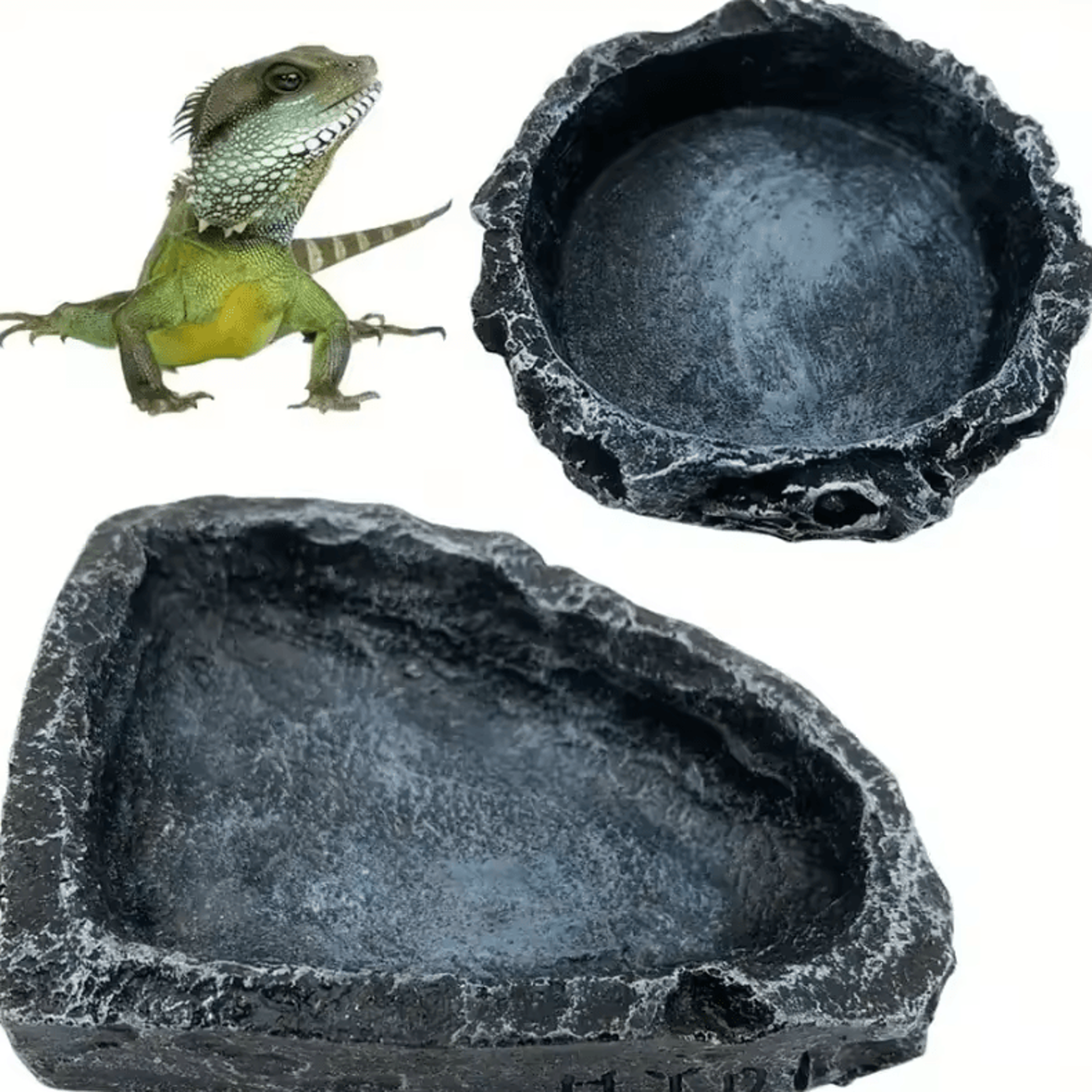 realistic stone reptile food and water bowl