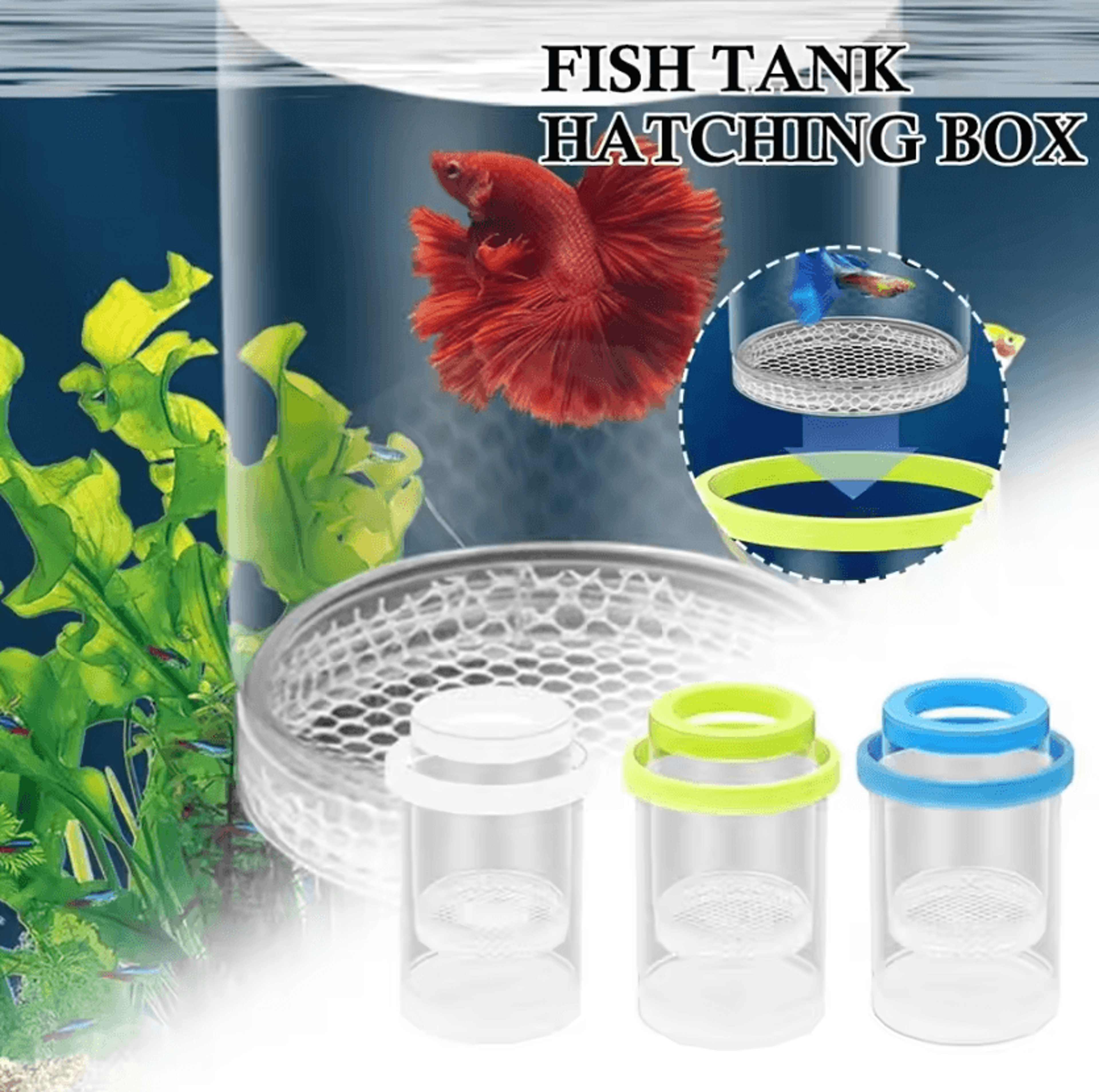 Floating Fish Breeding And Isolation Box For Guppy Fry 1