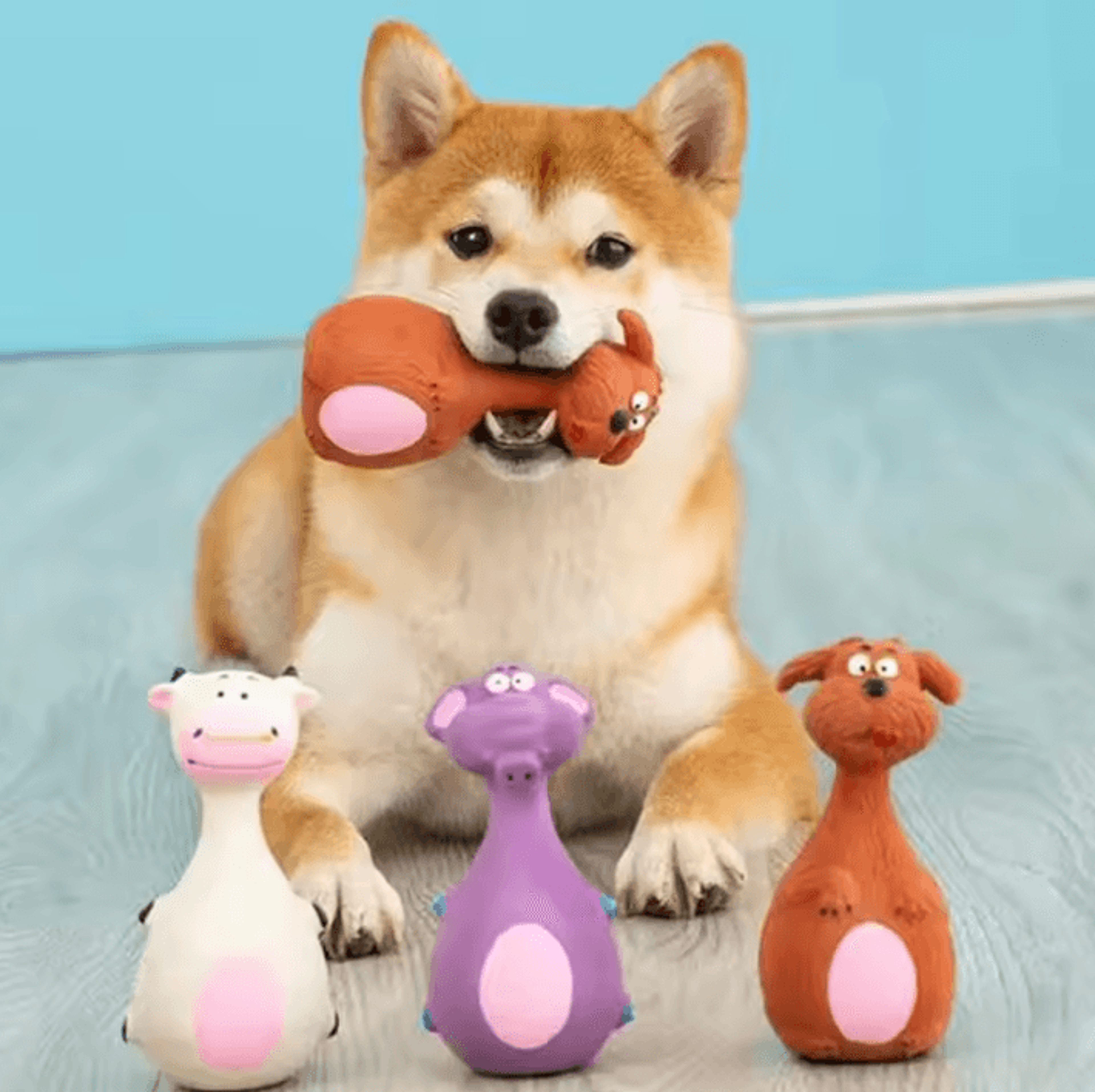 Cute Squeaky Rubber Pet Toy For Dogs And Cats 1