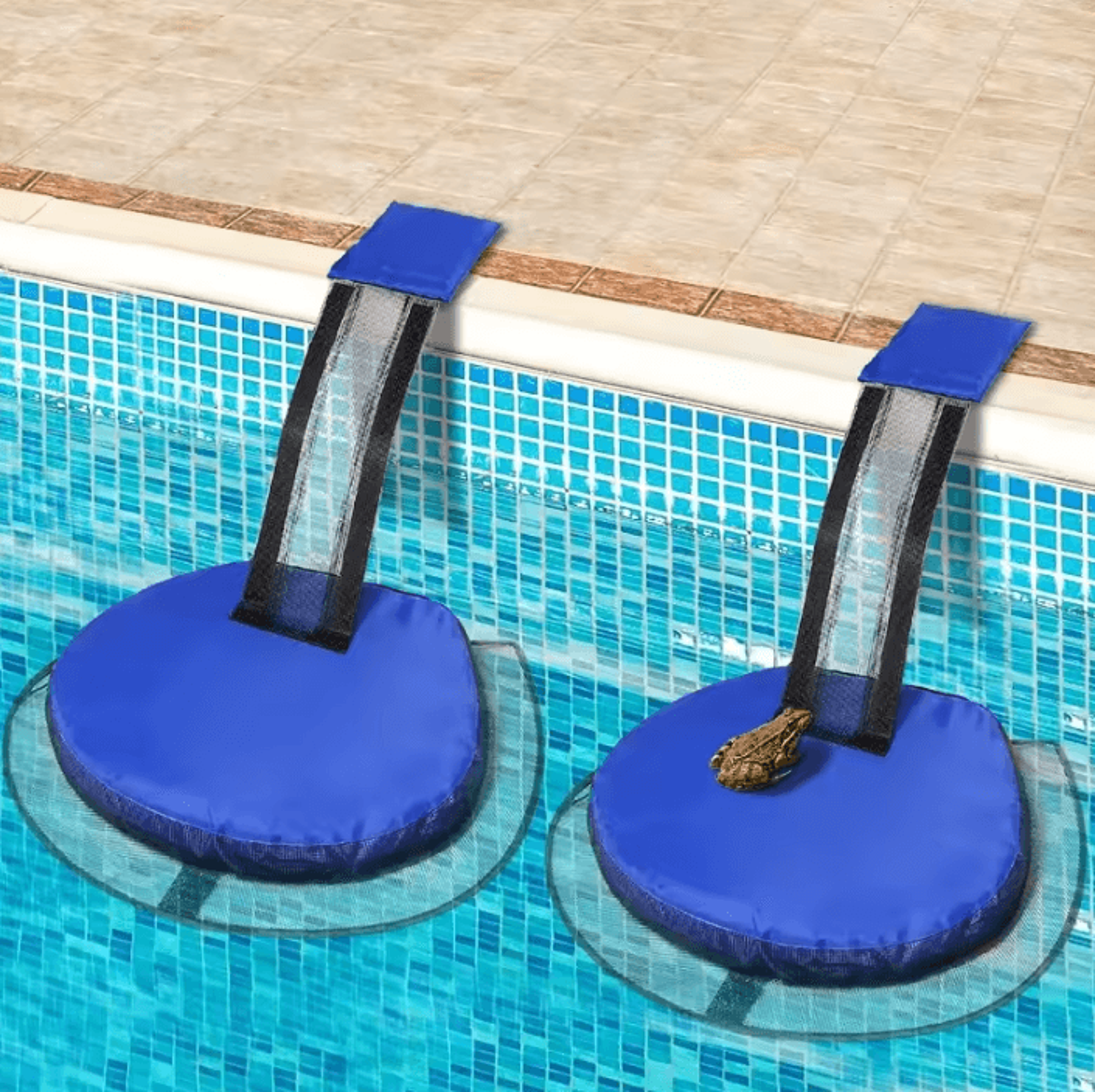 small animal swimming pool escape ramp for frogs and birds