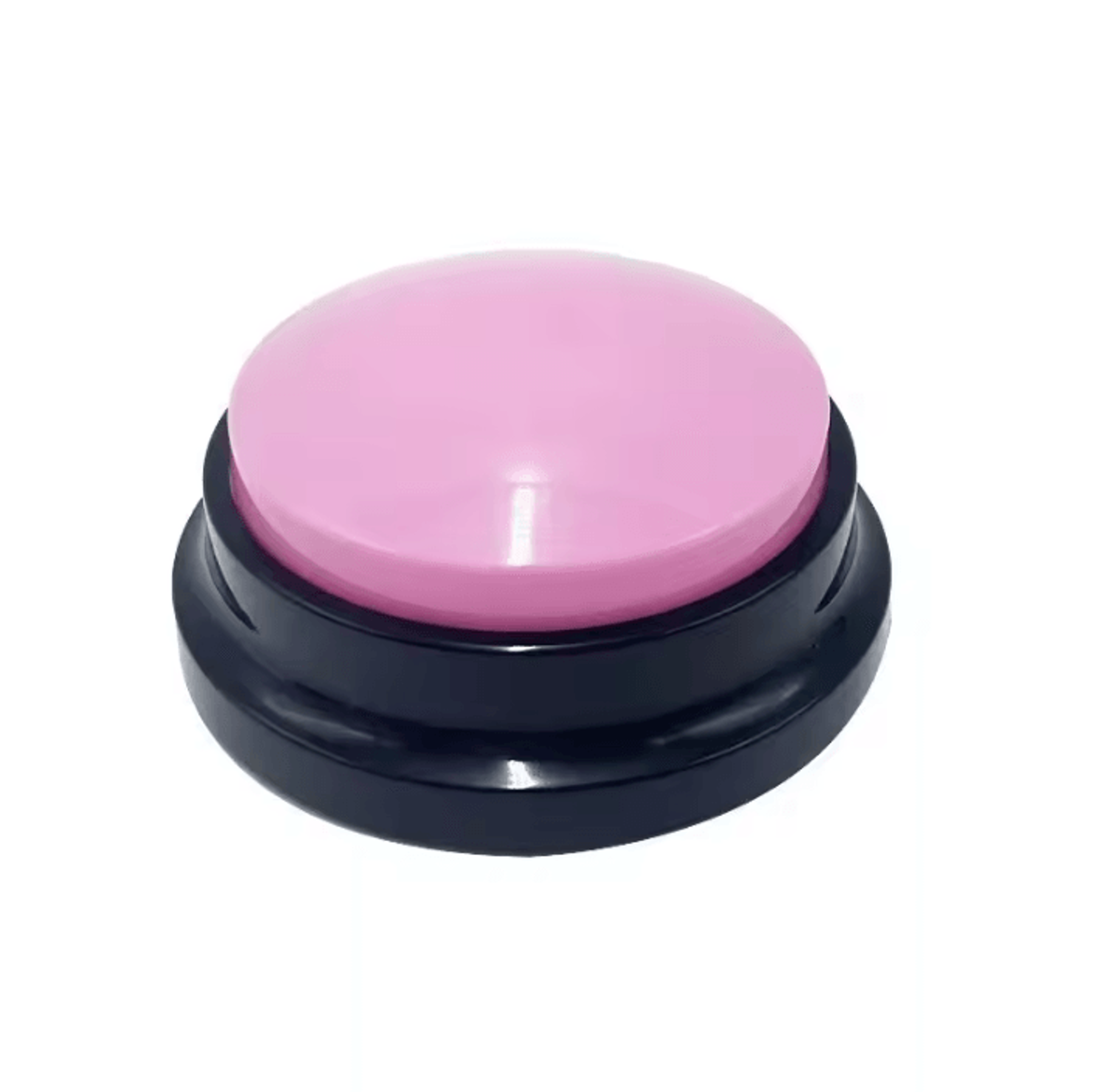 PawTalk Recordable Pet Communication Button 9