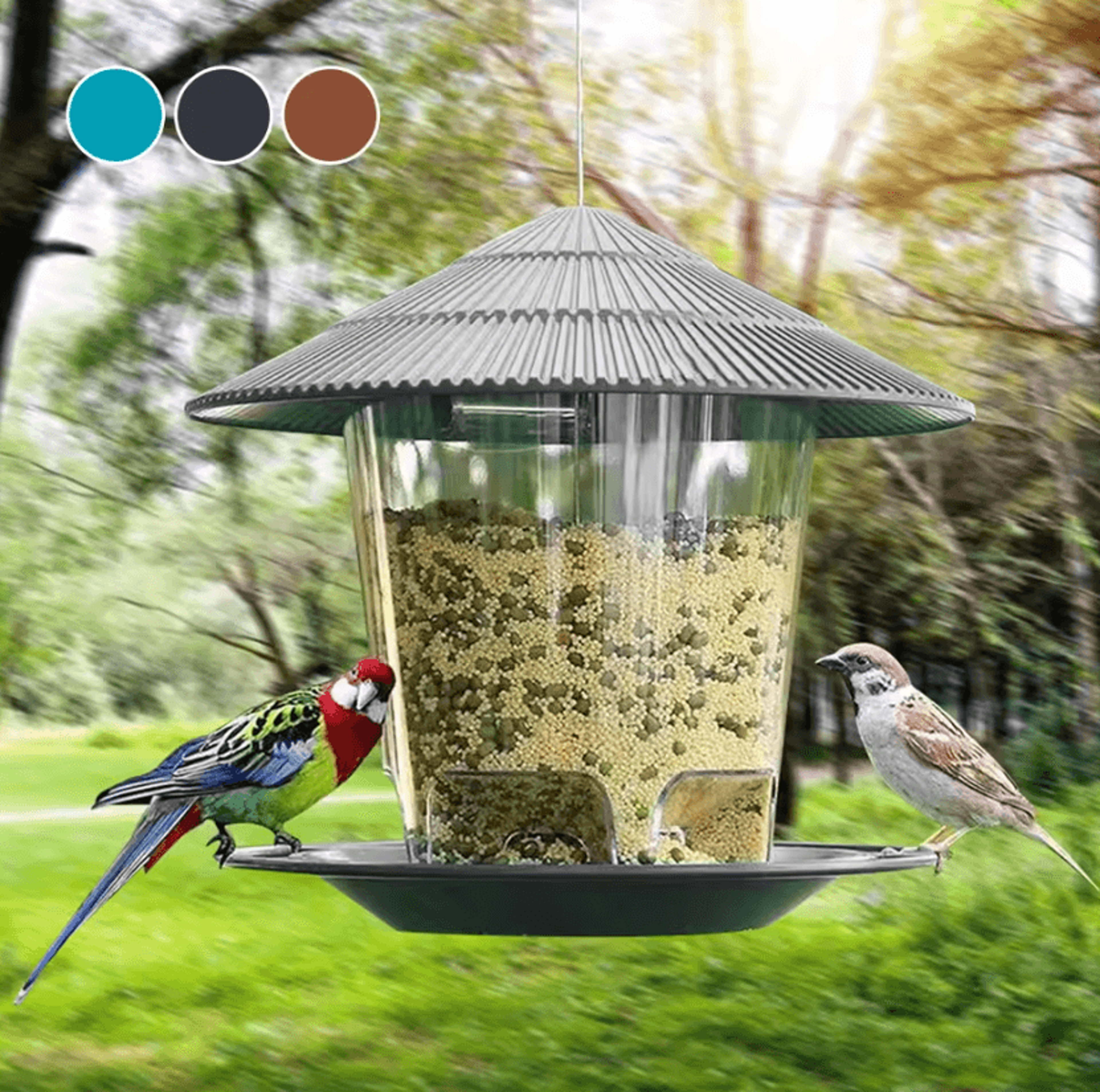Outdoor Hanging Bird Feeder With MultiHole Seed Dispenser 0