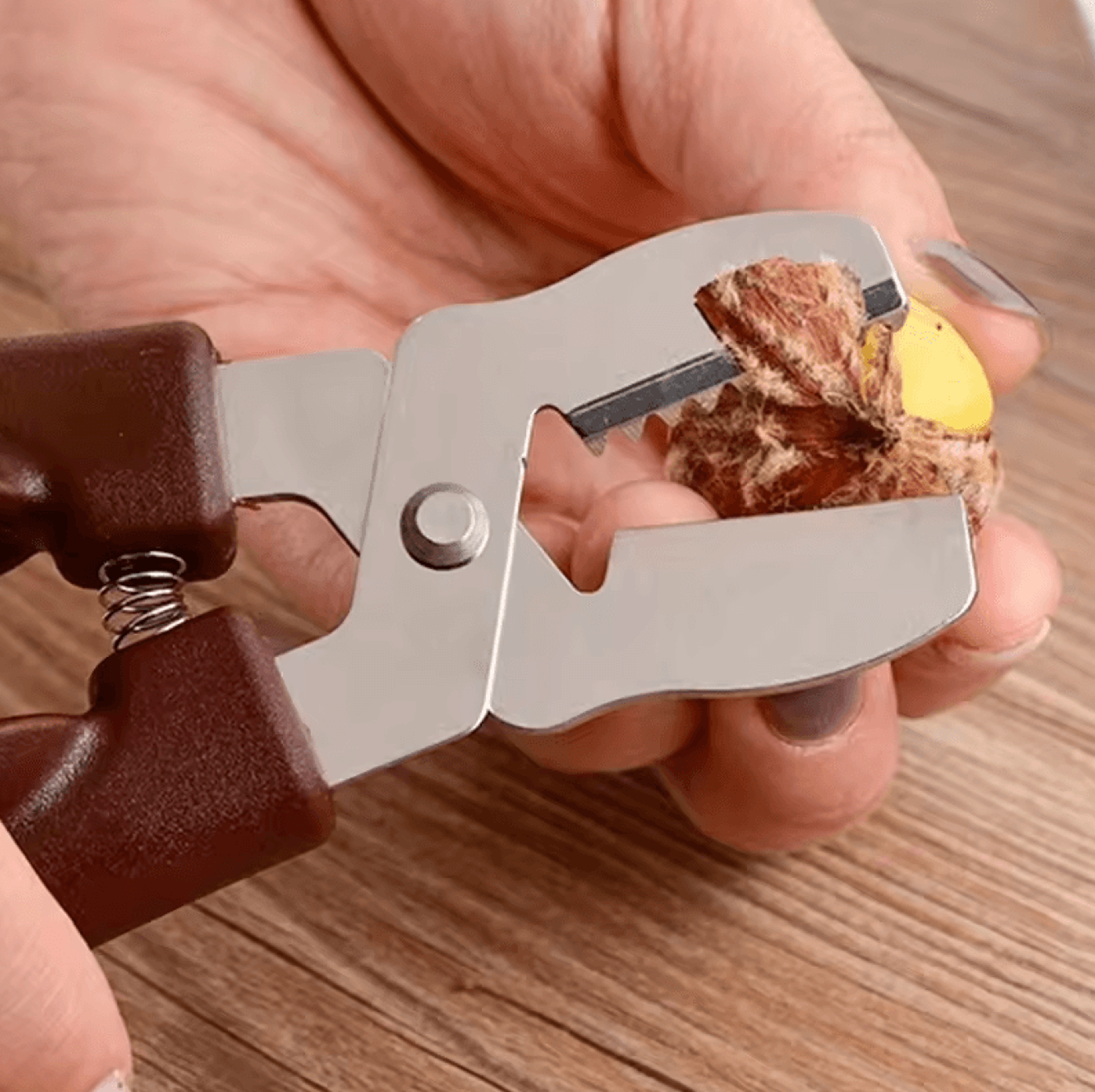 Stainless Steel EasyGrip Chestnut And Nutcracker Tool For Kitchen  Dining 0